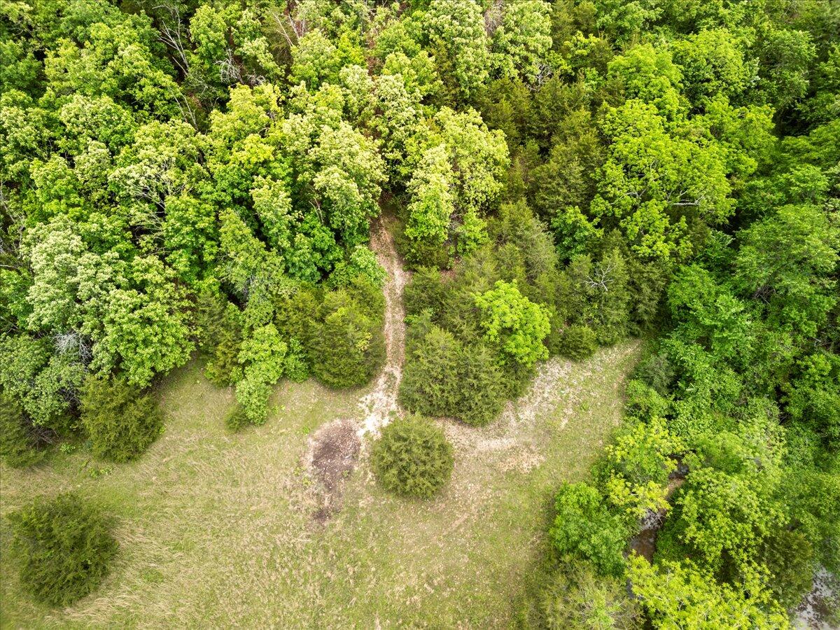Photo 20 - Farm for sale – 000  Shelton Road   Willow Springs, MO