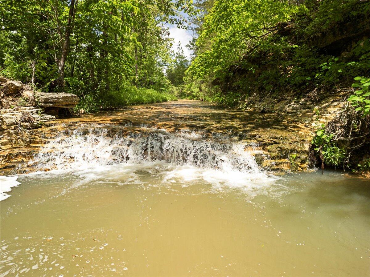 Farm for sale – 000 Shelton Road Willow Springs, MO