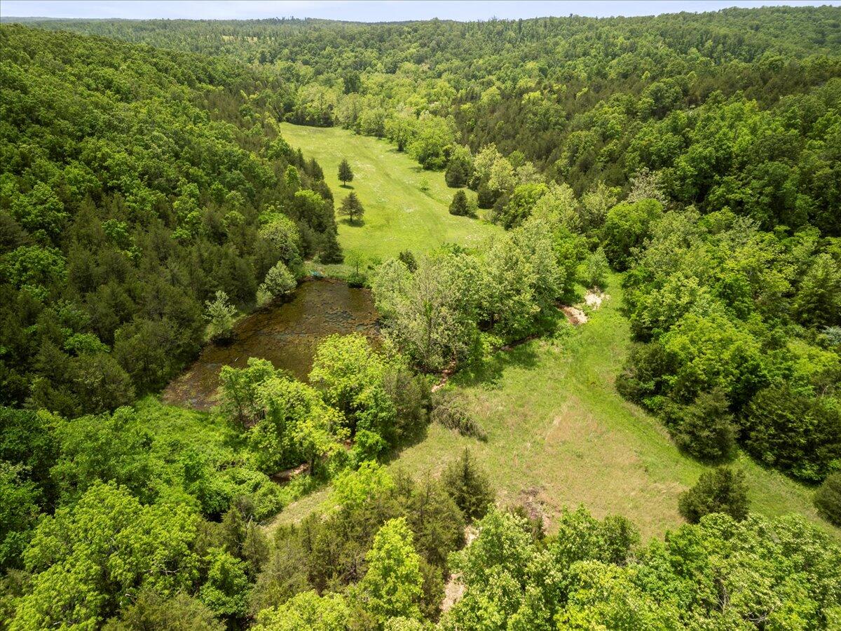 Photo 17 - Farm for sale – 000  Shelton Road   Willow Springs, MO
