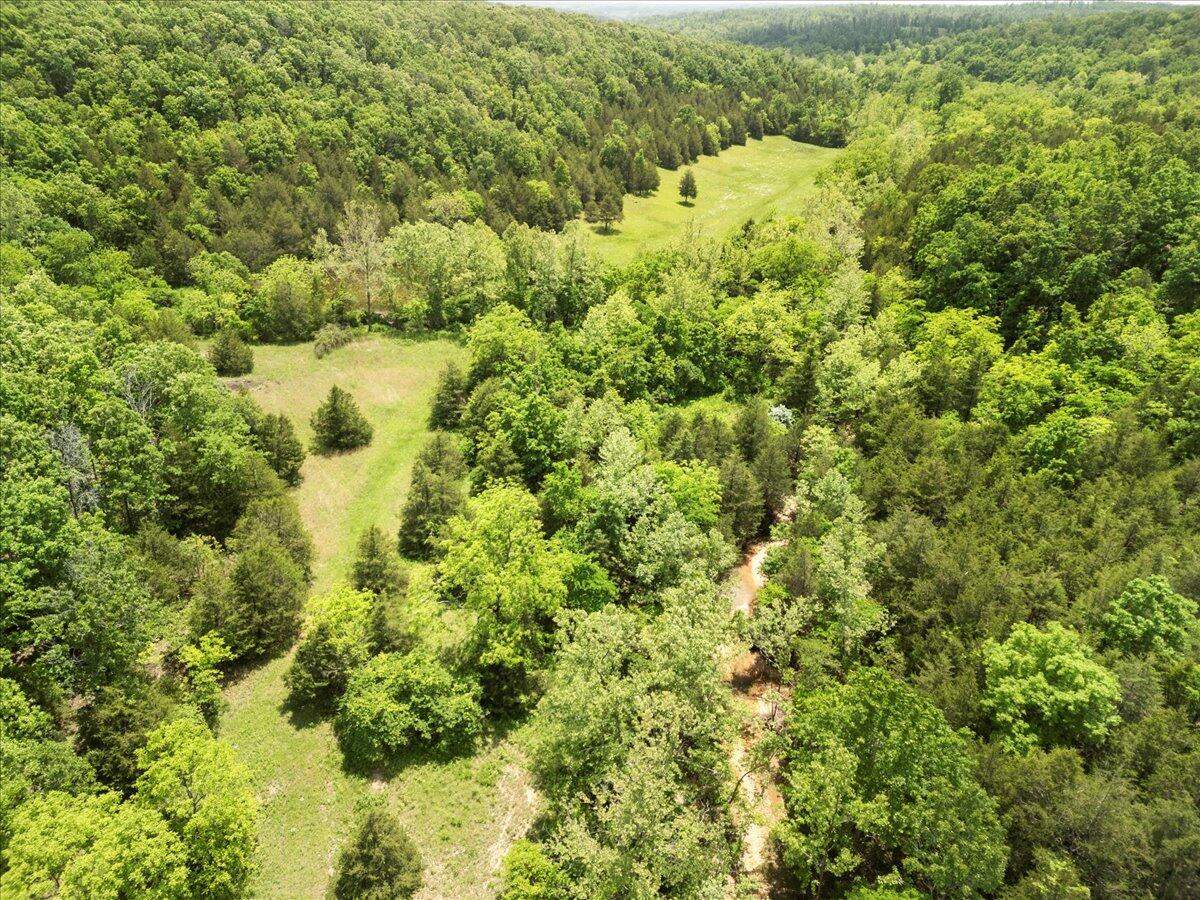 Photo 25 - Farm for sale – 000  Shelton Road   Willow Springs, MO