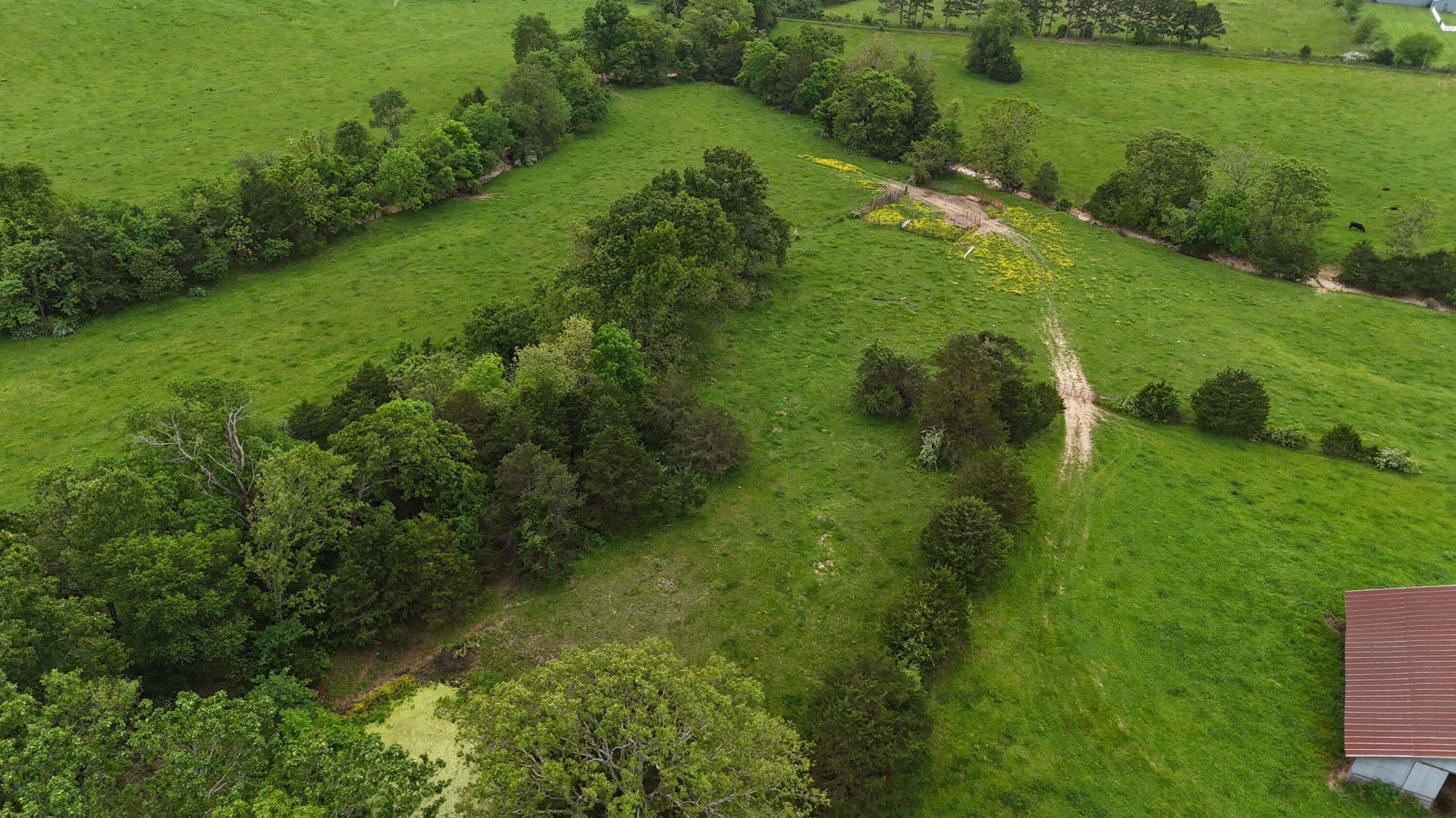Photo 13 - Land for sale – 0000  State Highway Ee   Cabool, MO