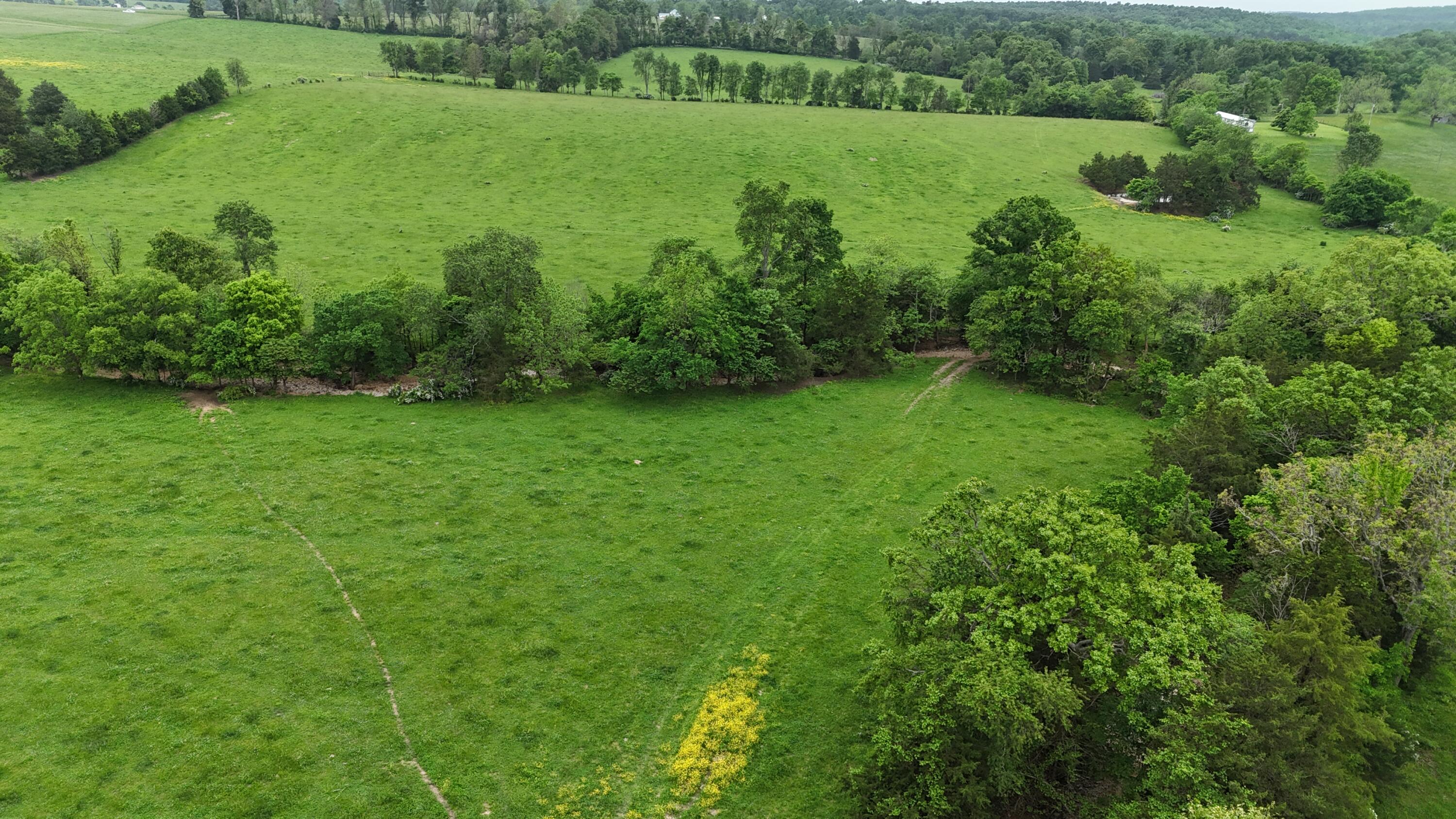 Photo 18 - Land for sale – 0000  State Highway Ee   Cabool, MO