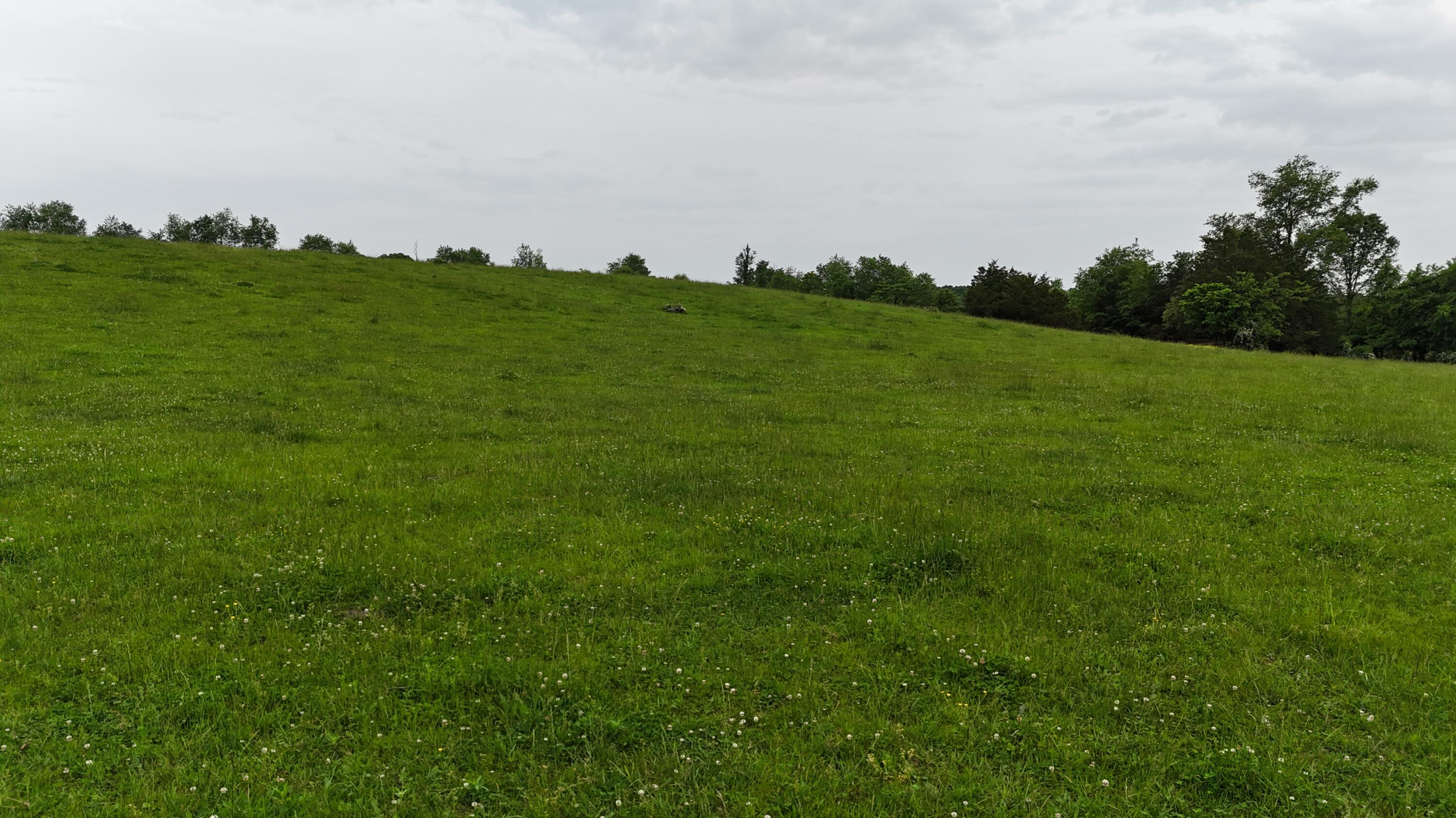 Photo 25 - Land for sale – 0000  State Highway Ee   Cabool, MO