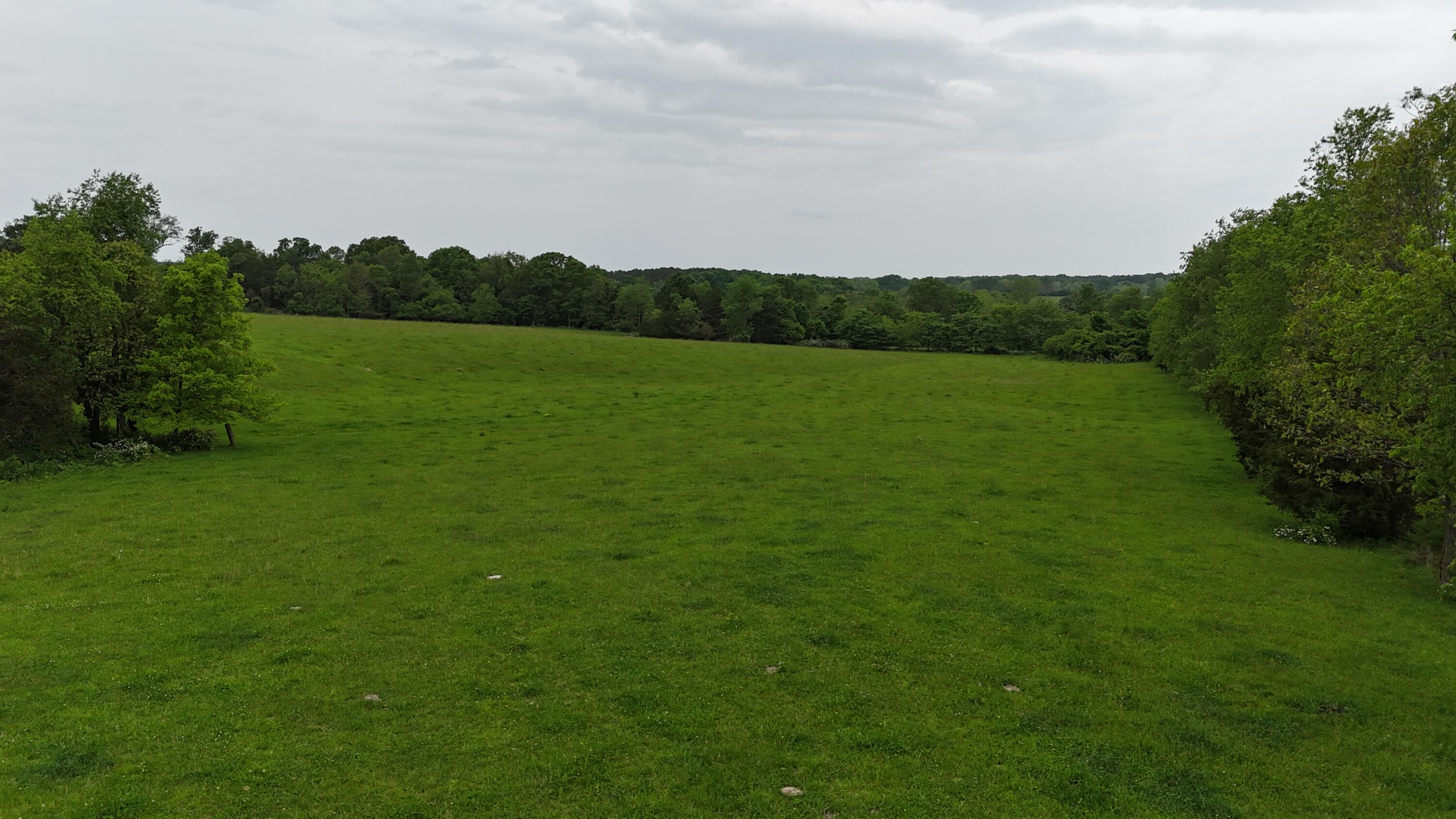 Photo 29 - Land for sale – 0000  State Highway Ee   Cabool, MO
