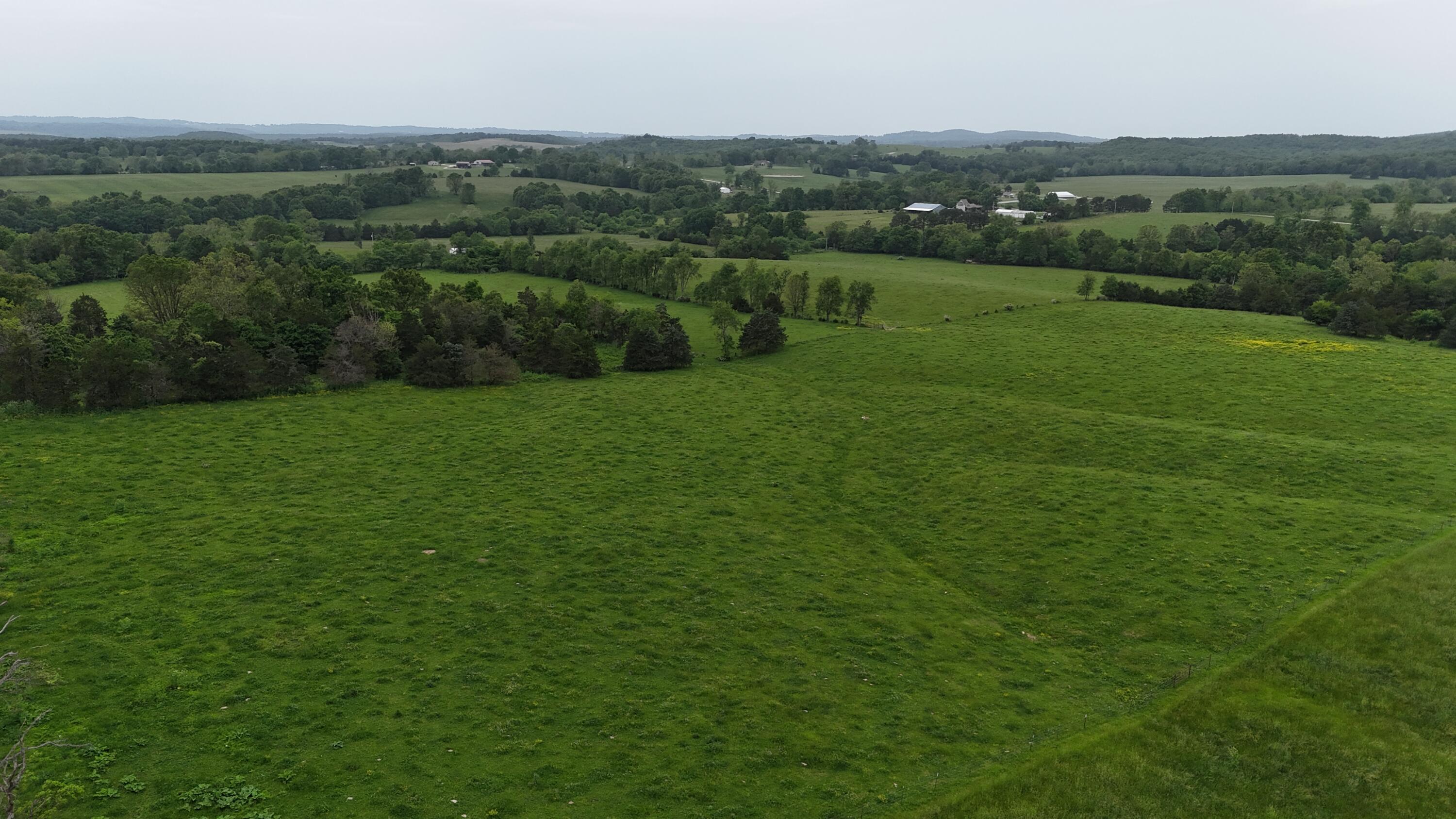 Photo 4 - Land for sale – 0000  State Highway Ee   Cabool, MO