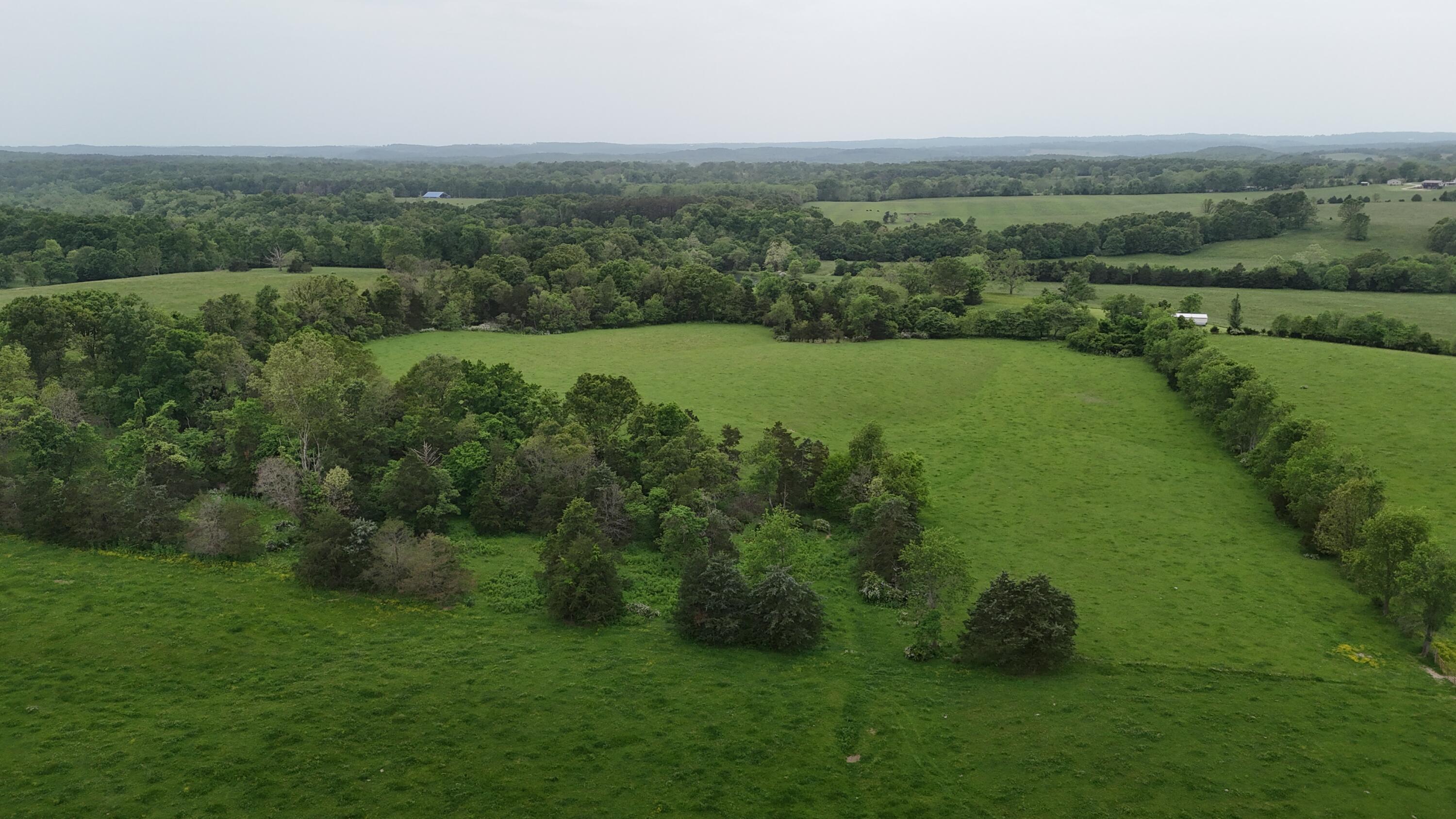Photo 3 - Land for sale – 0000  State Highway Ee   Cabool, MO
