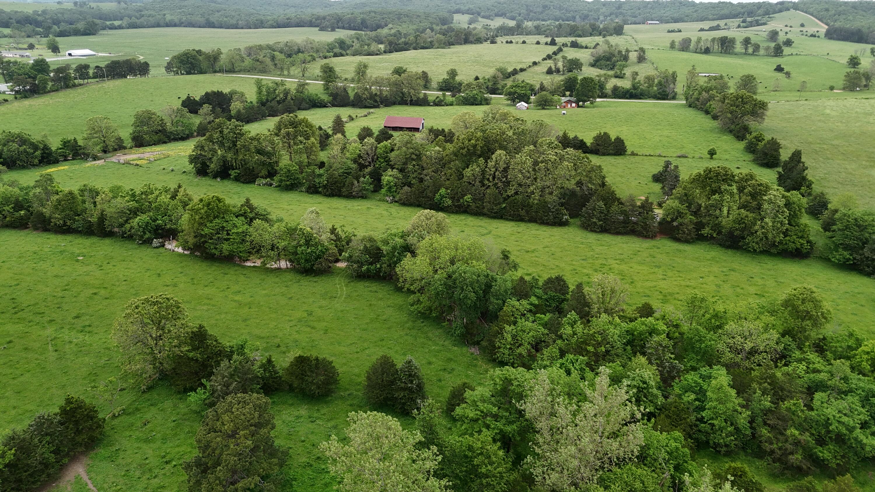 Land for sale – 0000  State Highway Ee   Cabool, MO