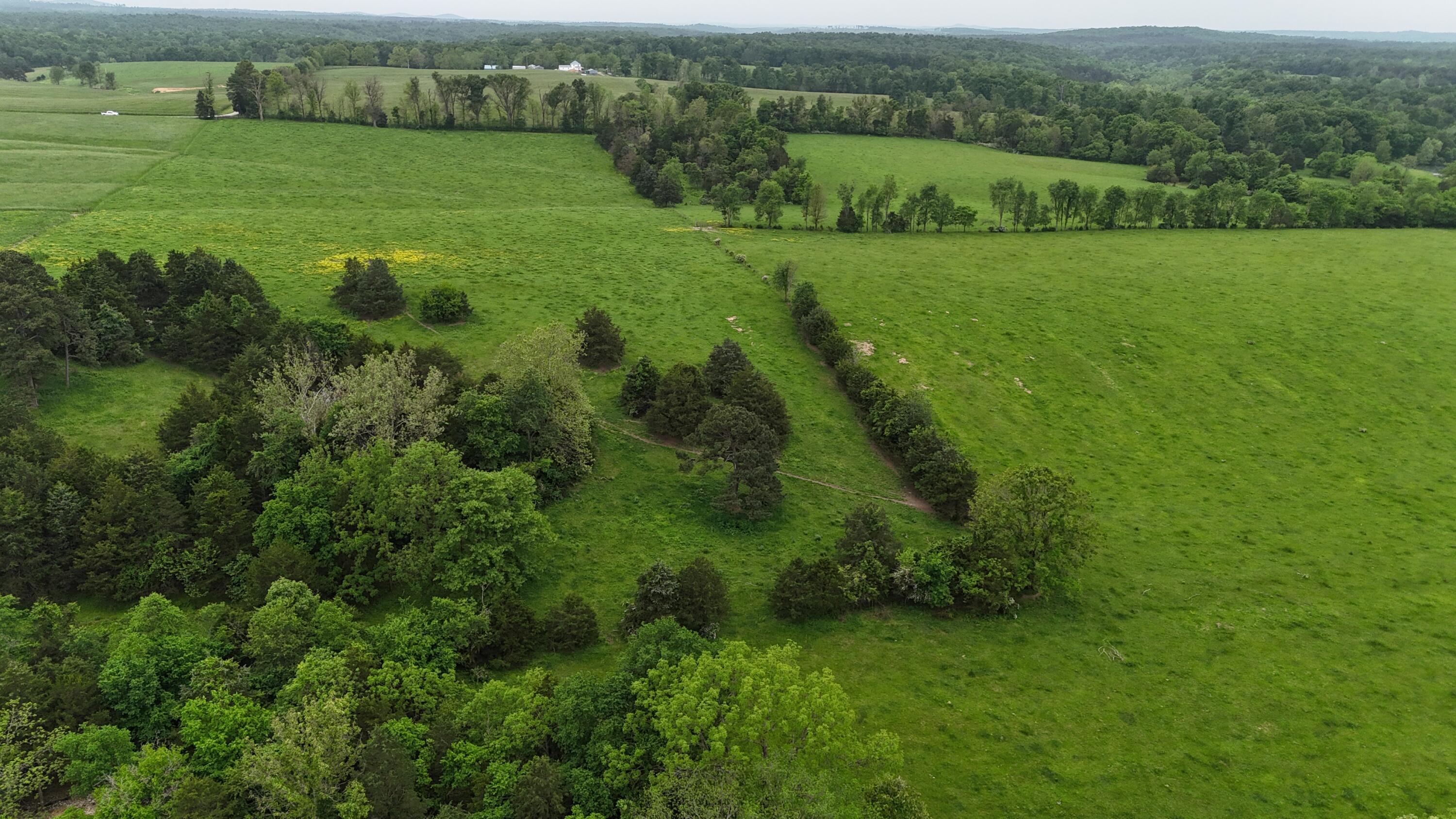 Photo 11 - Land for sale – 0000  State Highway Ee   Cabool, MO