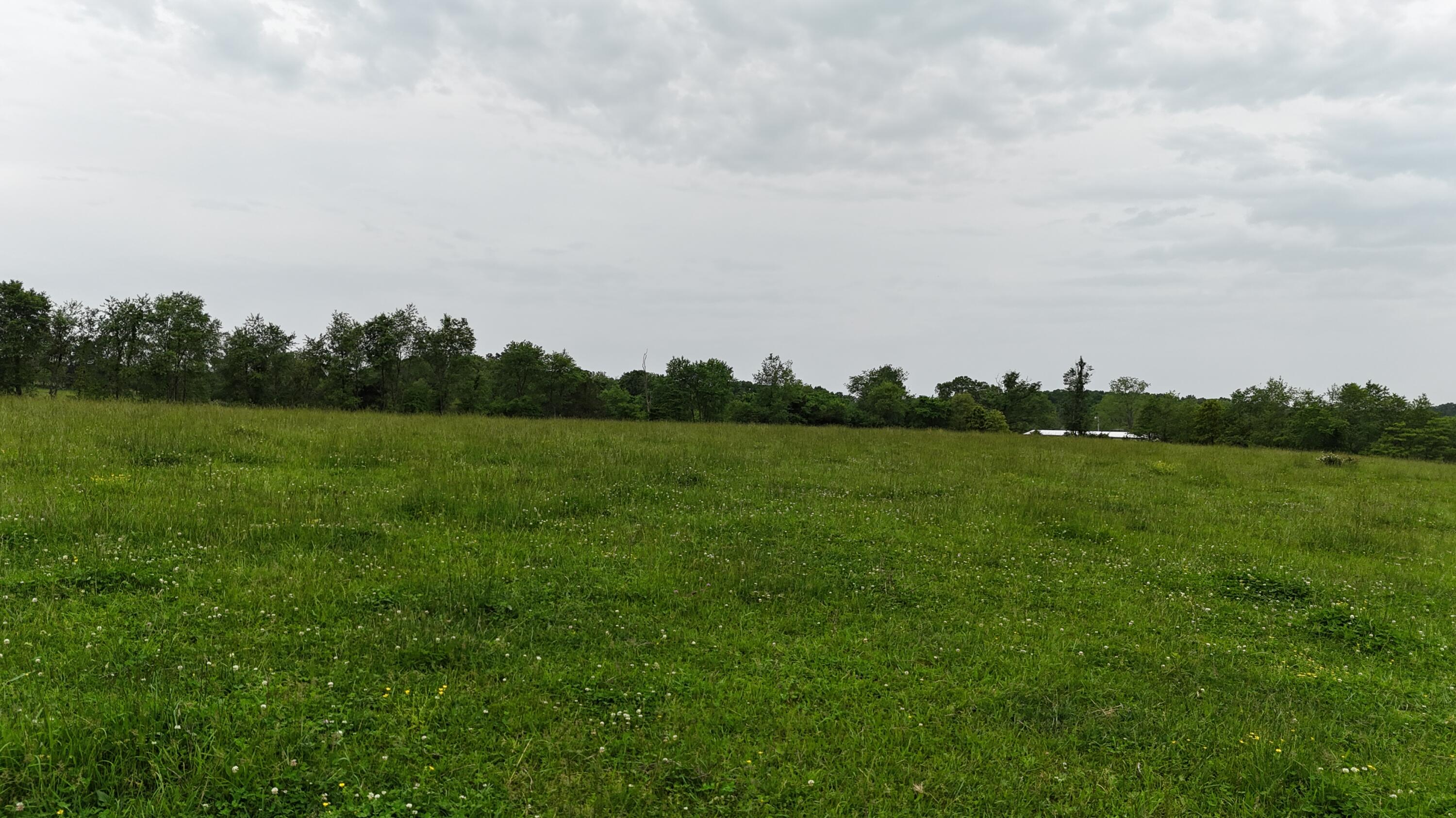 Photo 26 - Land for sale – 0000  State Highway Ee   Cabool, MO