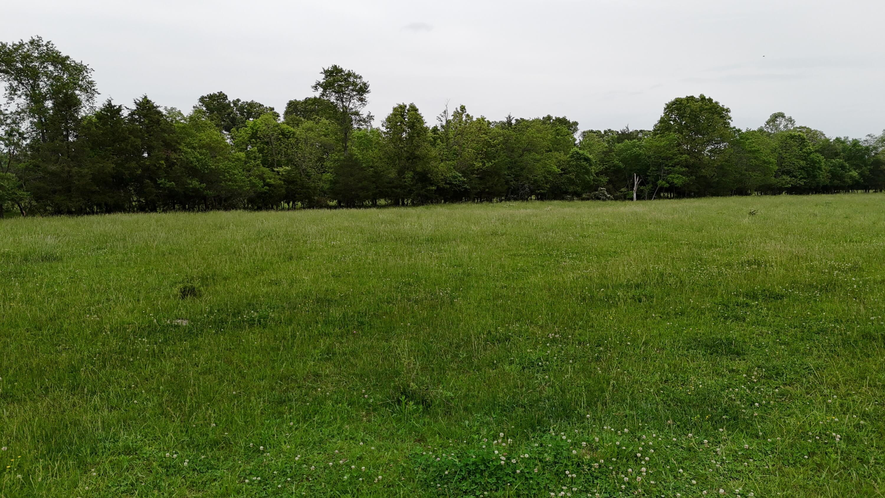 Photo 23 - Land for sale – 0000  State Highway Ee   Cabool, MO