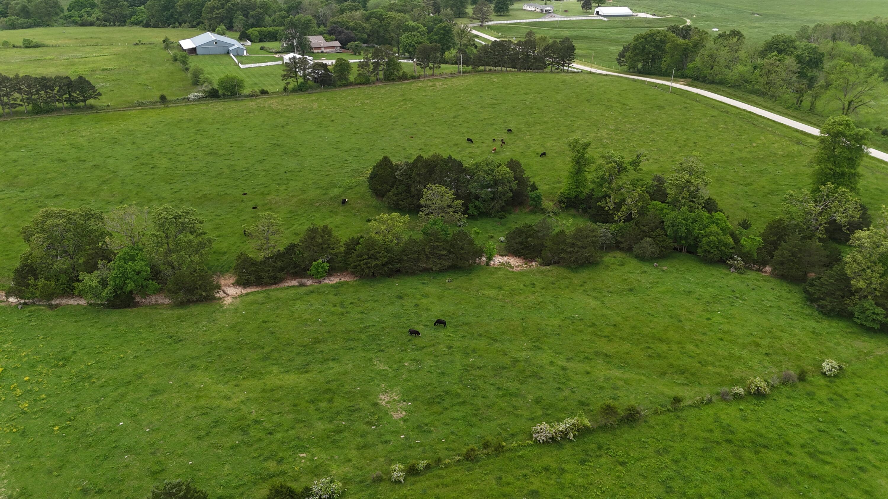 Photo 14 - Land for sale – 0000  State Highway Ee   Cabool, MO
