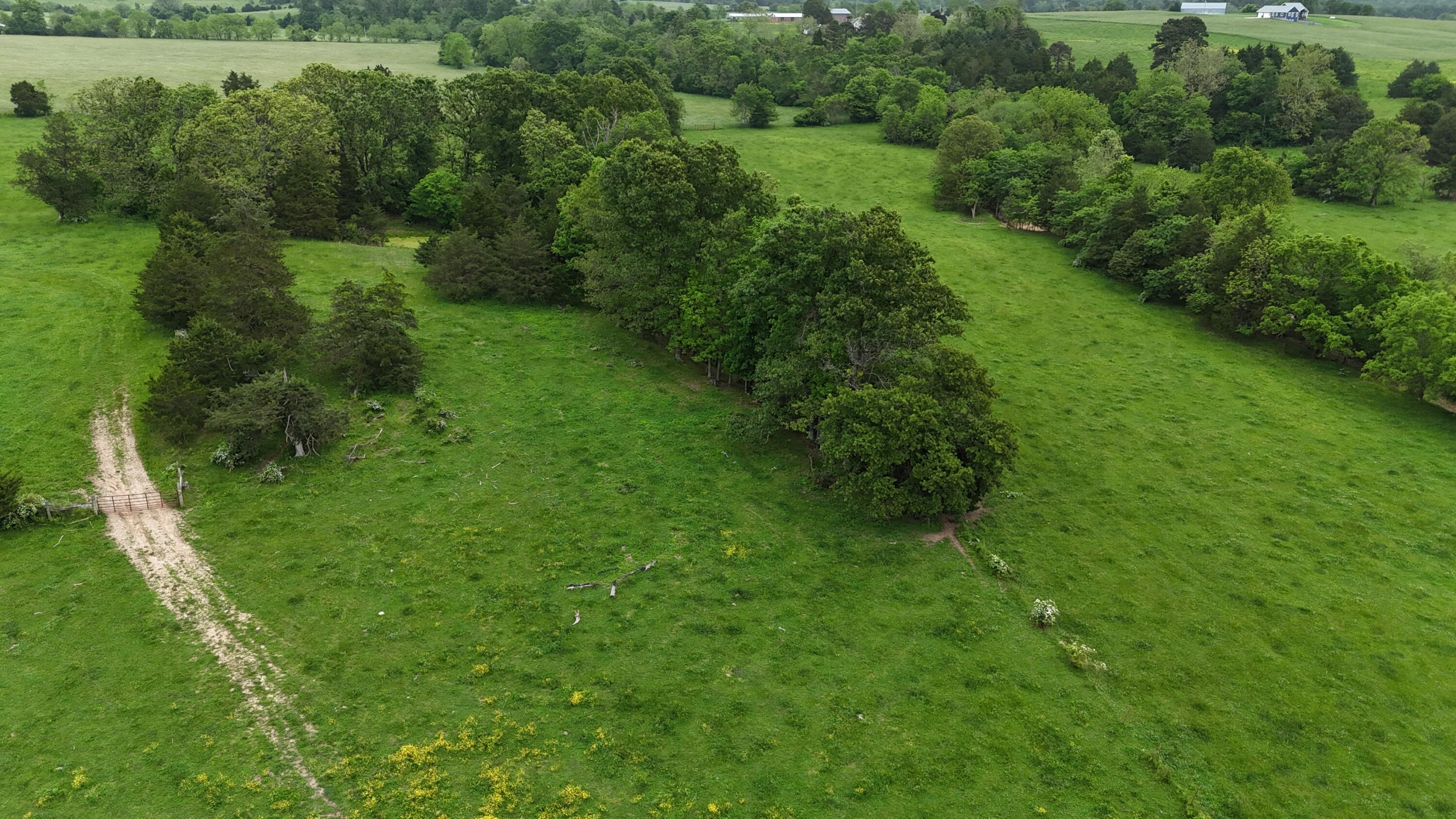 Photo 19 - Land for sale – 0000  State Highway Ee   Cabool, MO