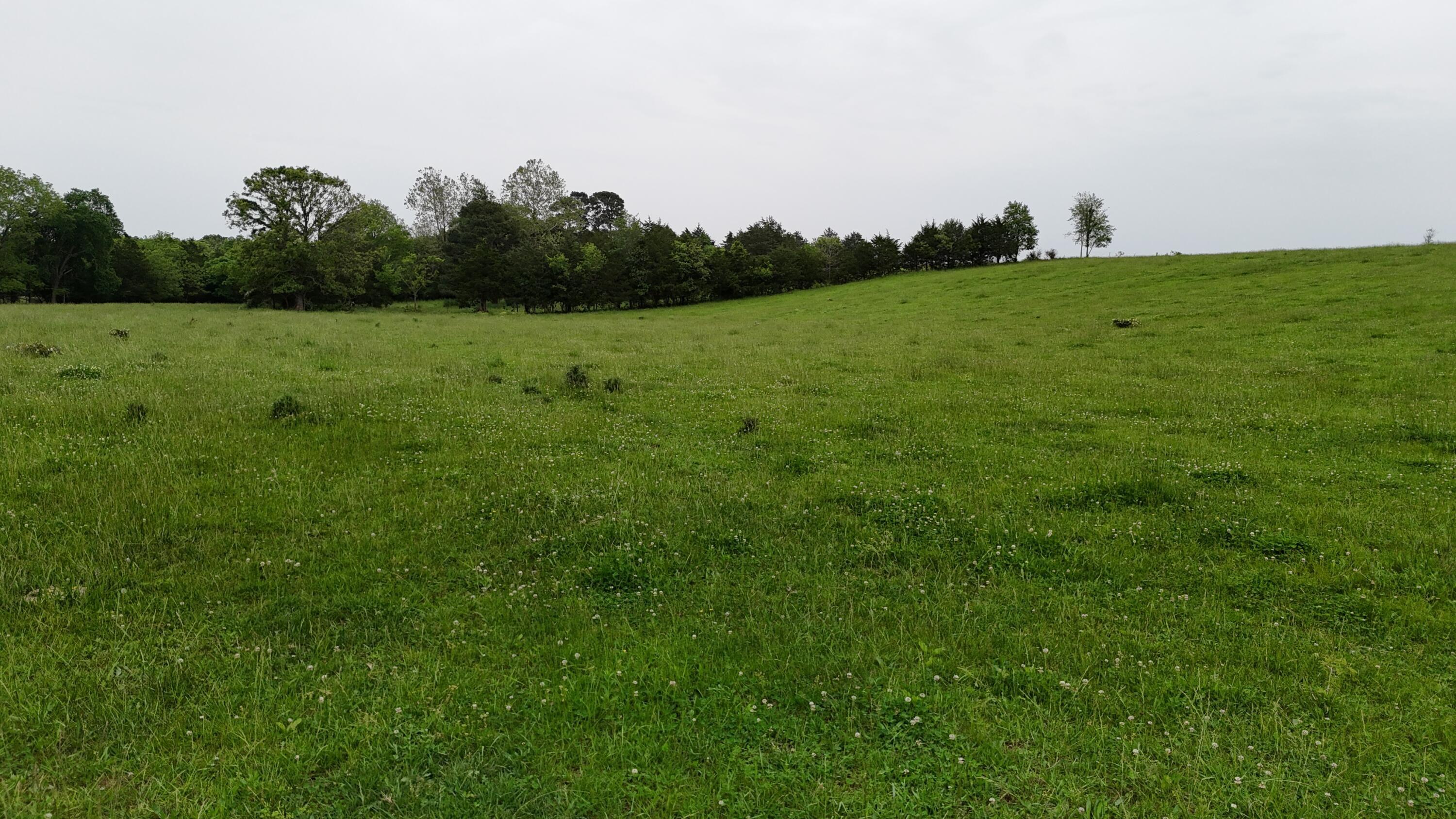 Photo 22 - Land for sale – 0000  State Highway Ee   Cabool, MO
