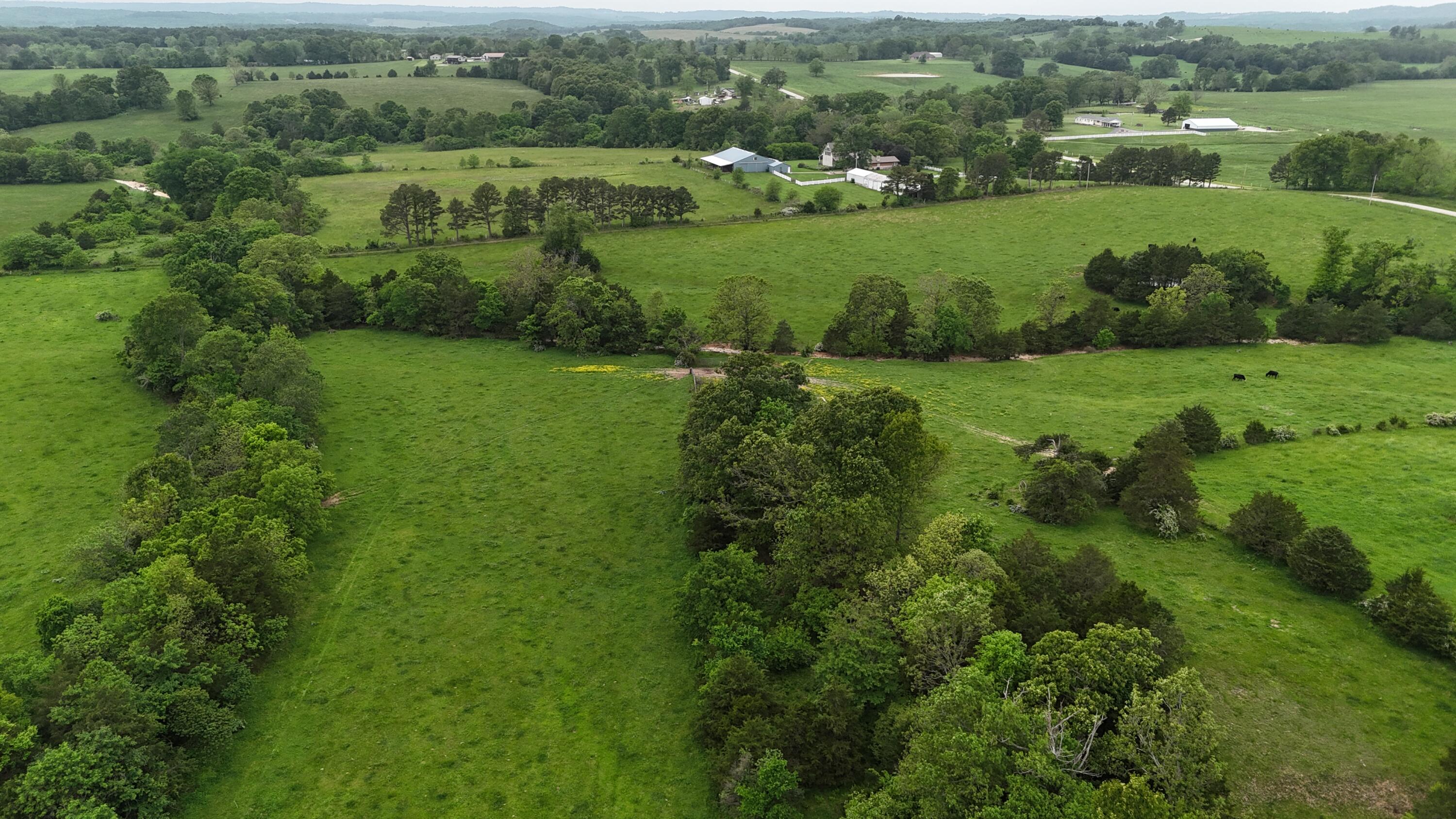 Photo 9 - Land for sale – 0000  State Highway Ee   Cabool, MO