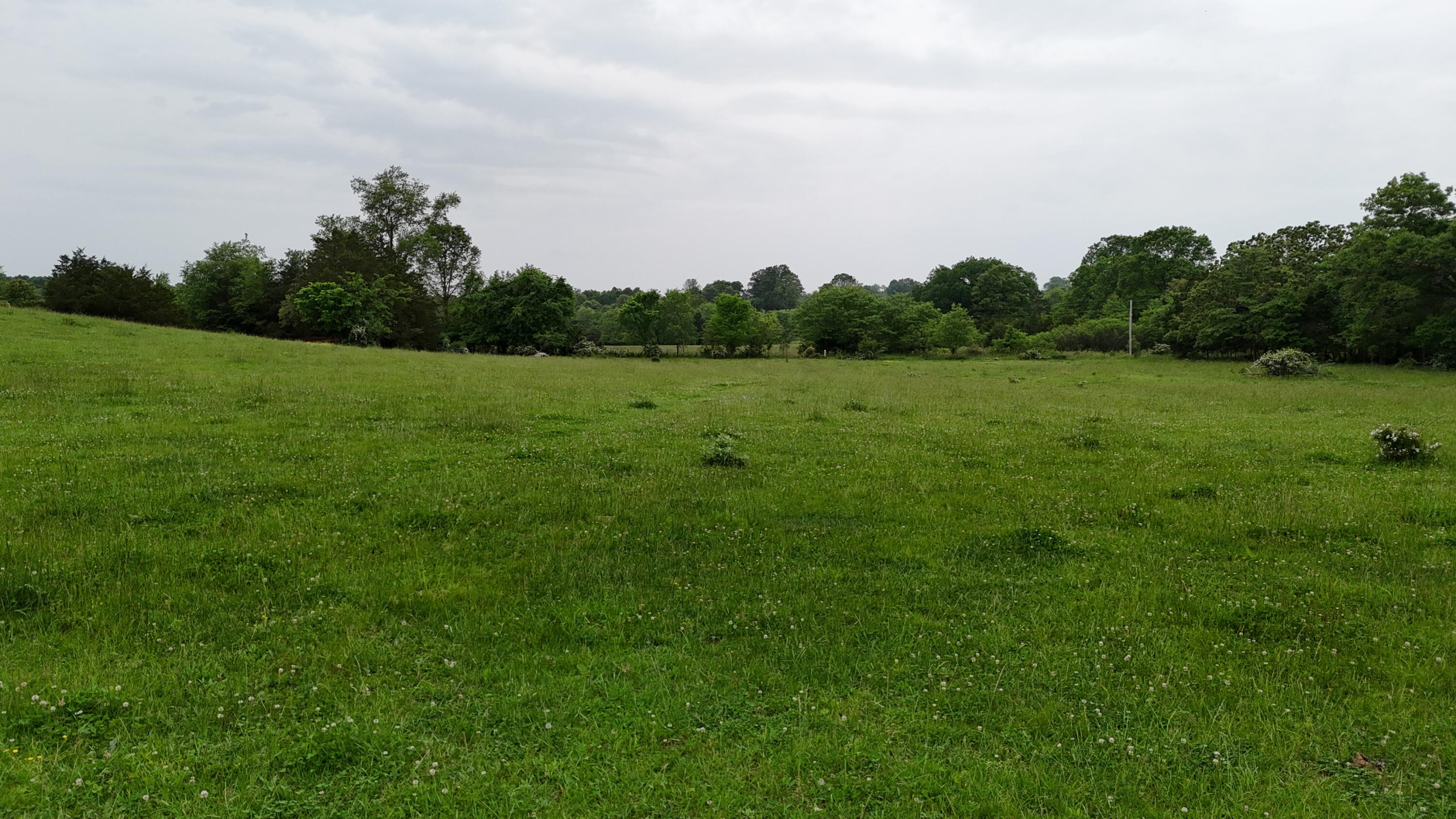 Photo 24 - Land for sale – 0000  State Highway Ee   Cabool, MO