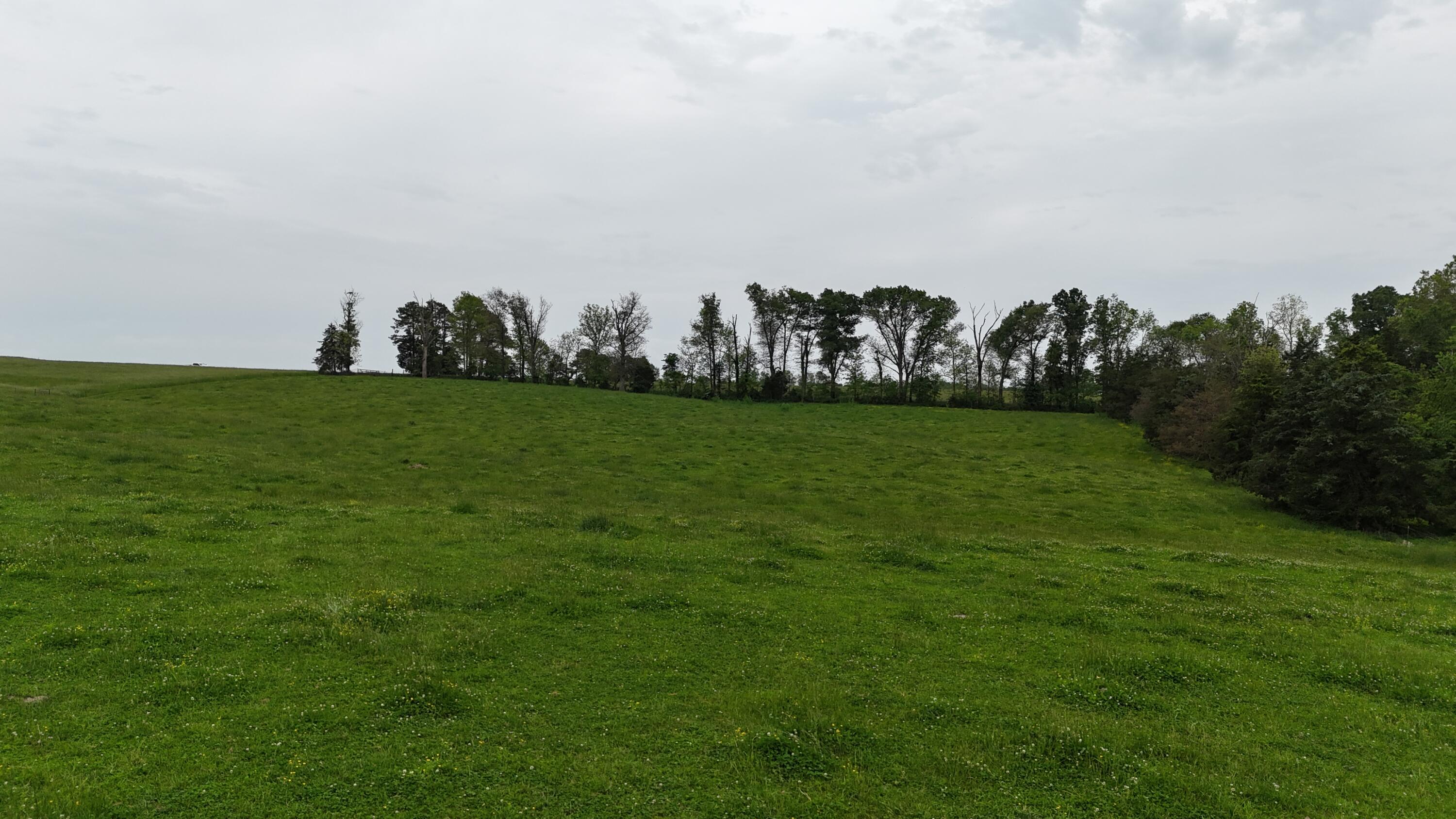 Photo 28 - Land for sale – 0000  State Highway Ee   Cabool, MO