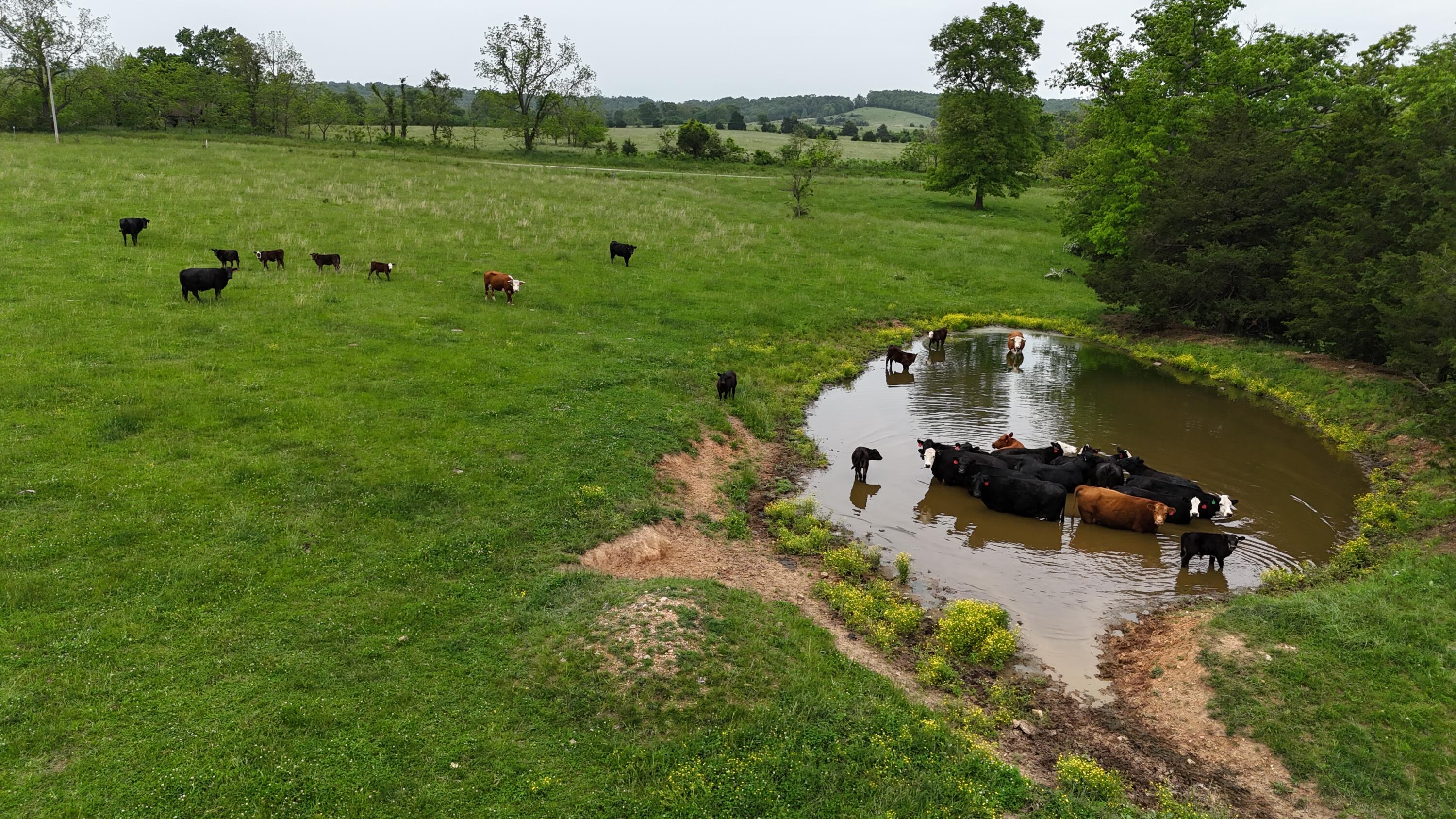 Photo 15 - Land for sale – 0000  State Highway Ee   Cabool, MO