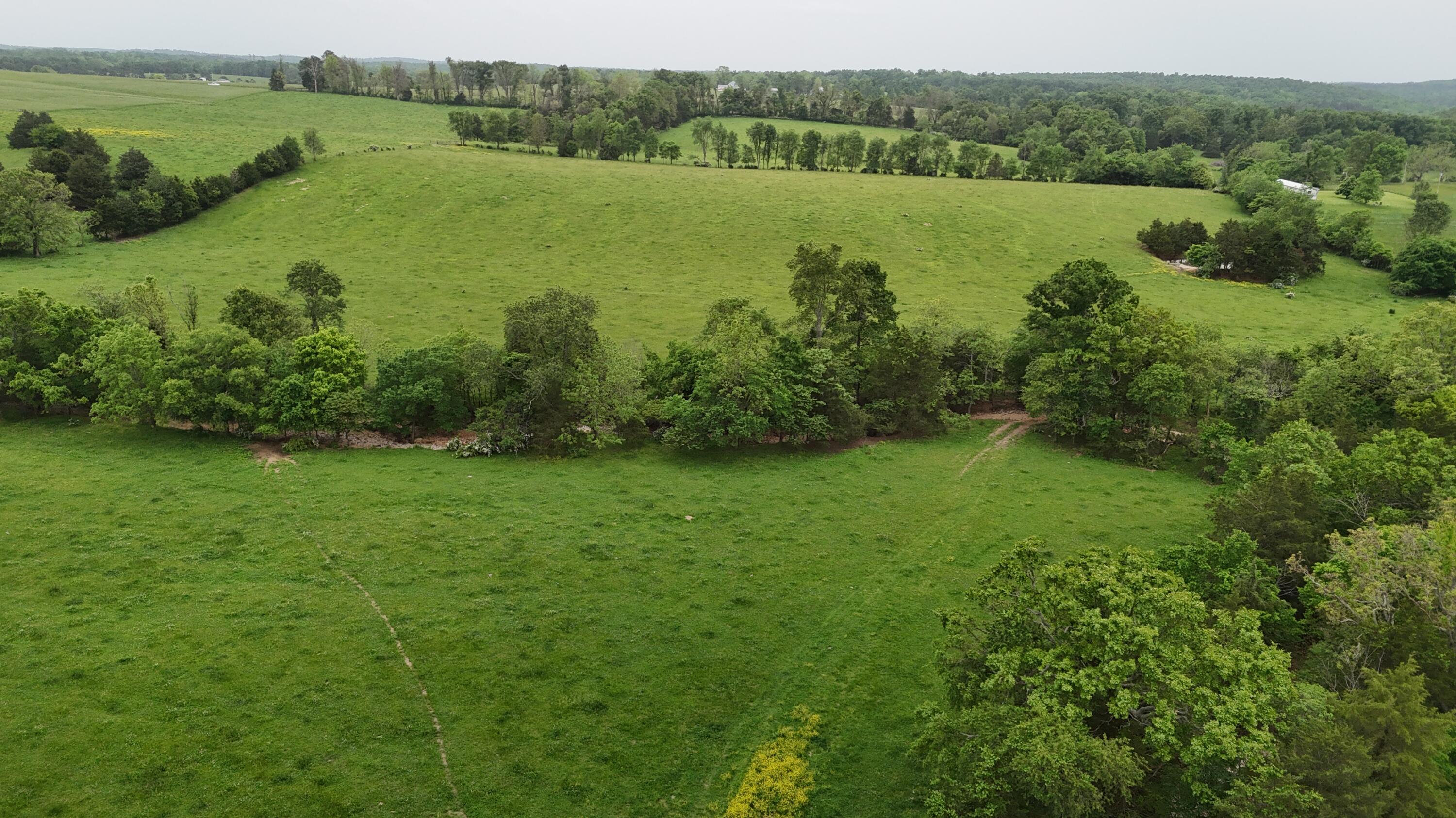 Photo 20 - Land for sale – 0000  State Highway Ee   Cabool, MO
