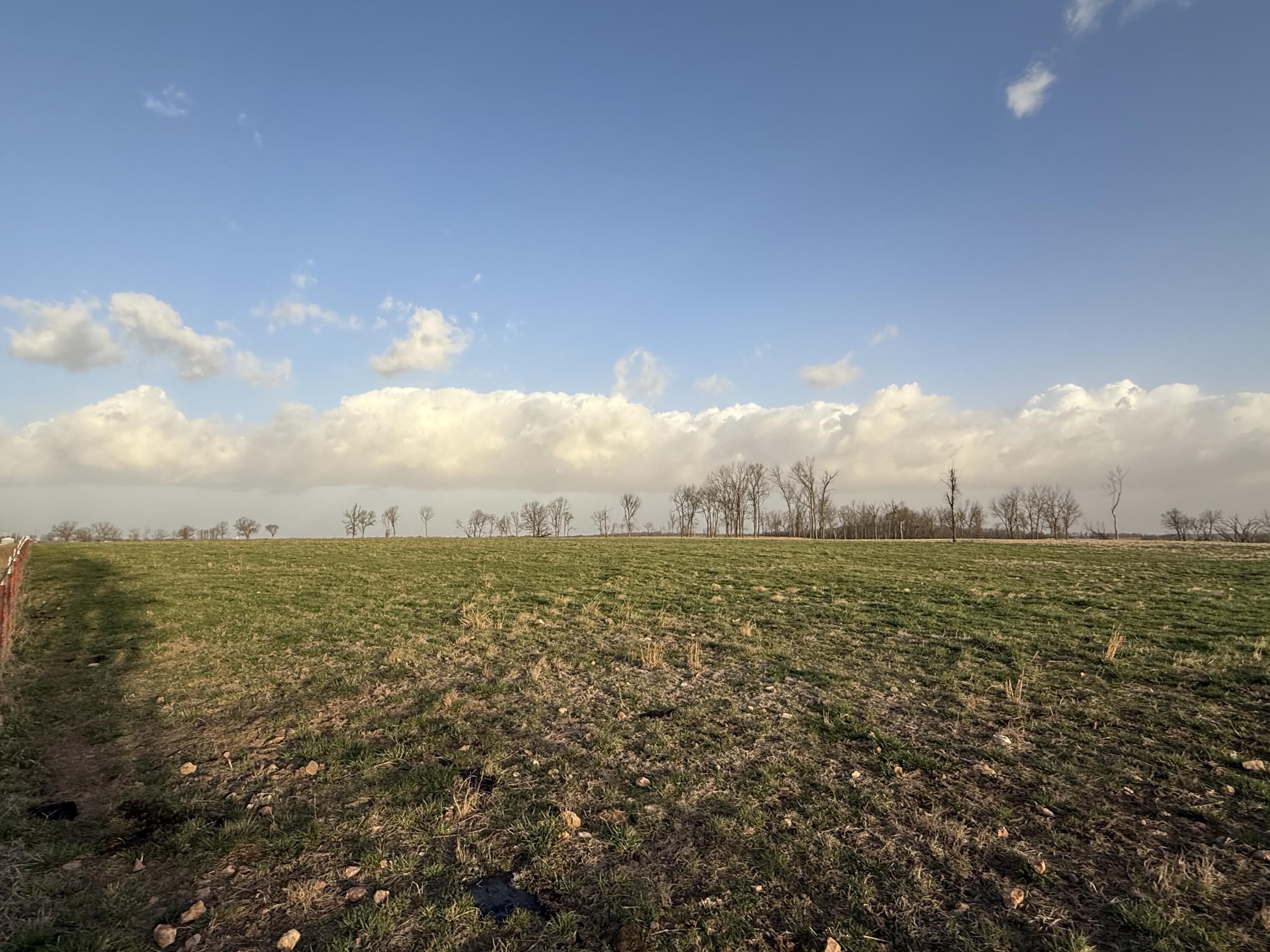 Photo 3 - Land for sale – 000 W Dade 142   Lockwood, MO