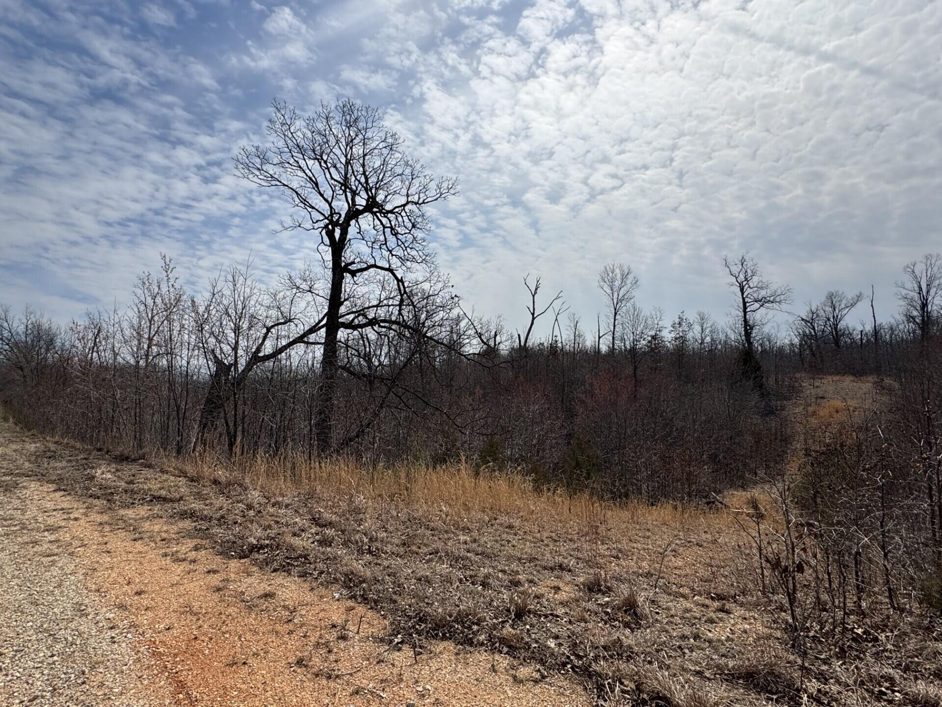 Land for sale – 000  Timber Circle  Tunas, MO