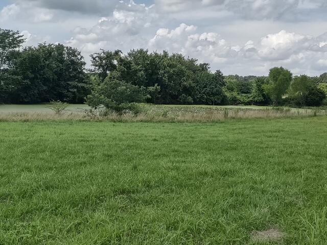 Listing 580864