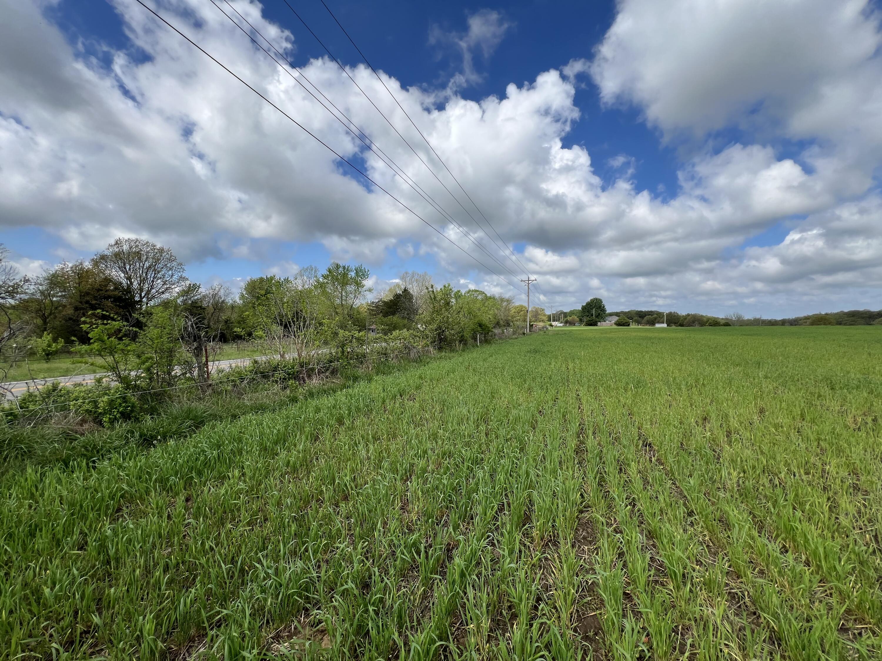 Farm/Ranch/Land for sale – 000 E Highway 32   Stockton, MO
