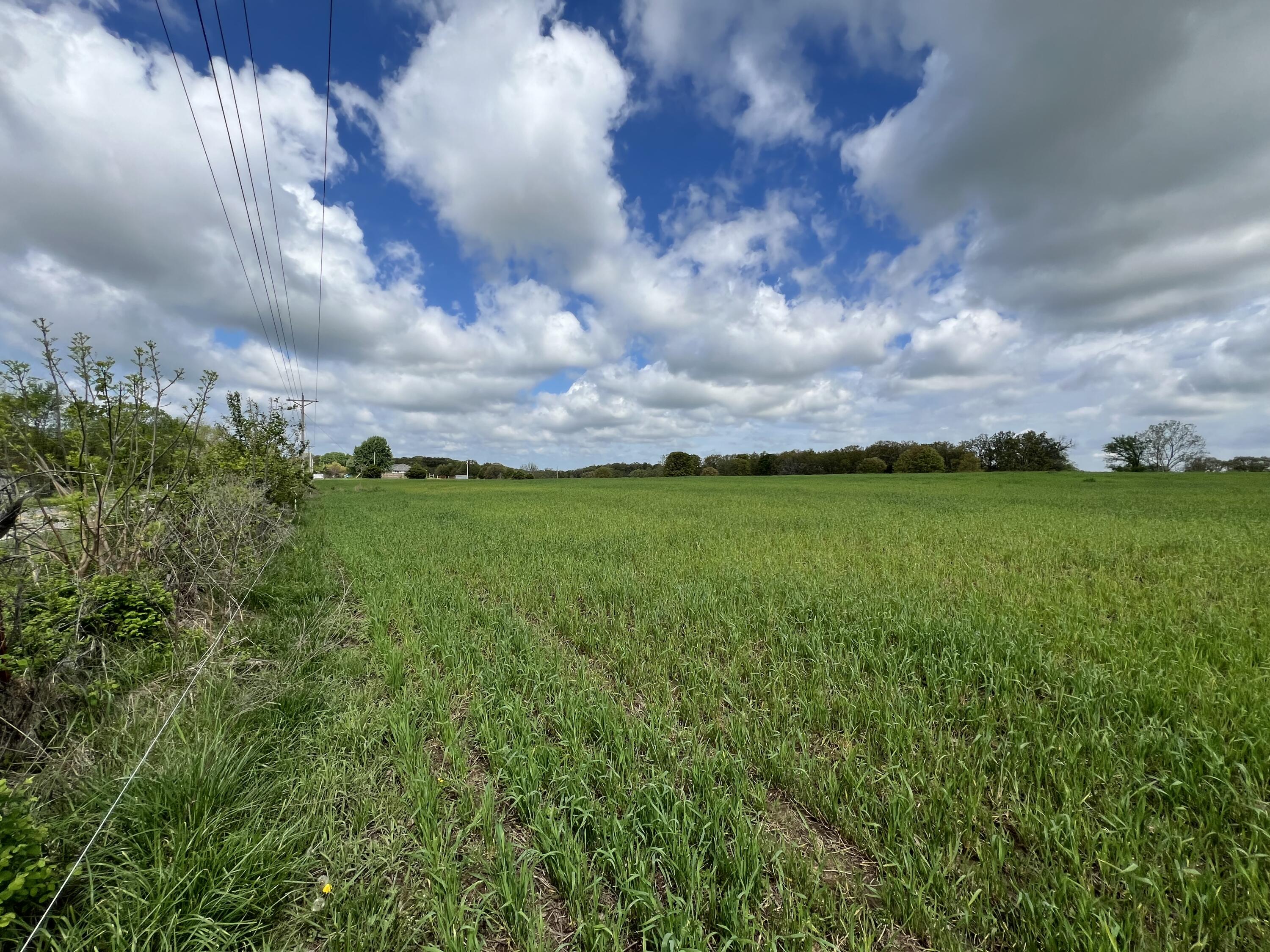 Farm/Ranch/Land for sale – 000 E Highway 32   Stockton, MO