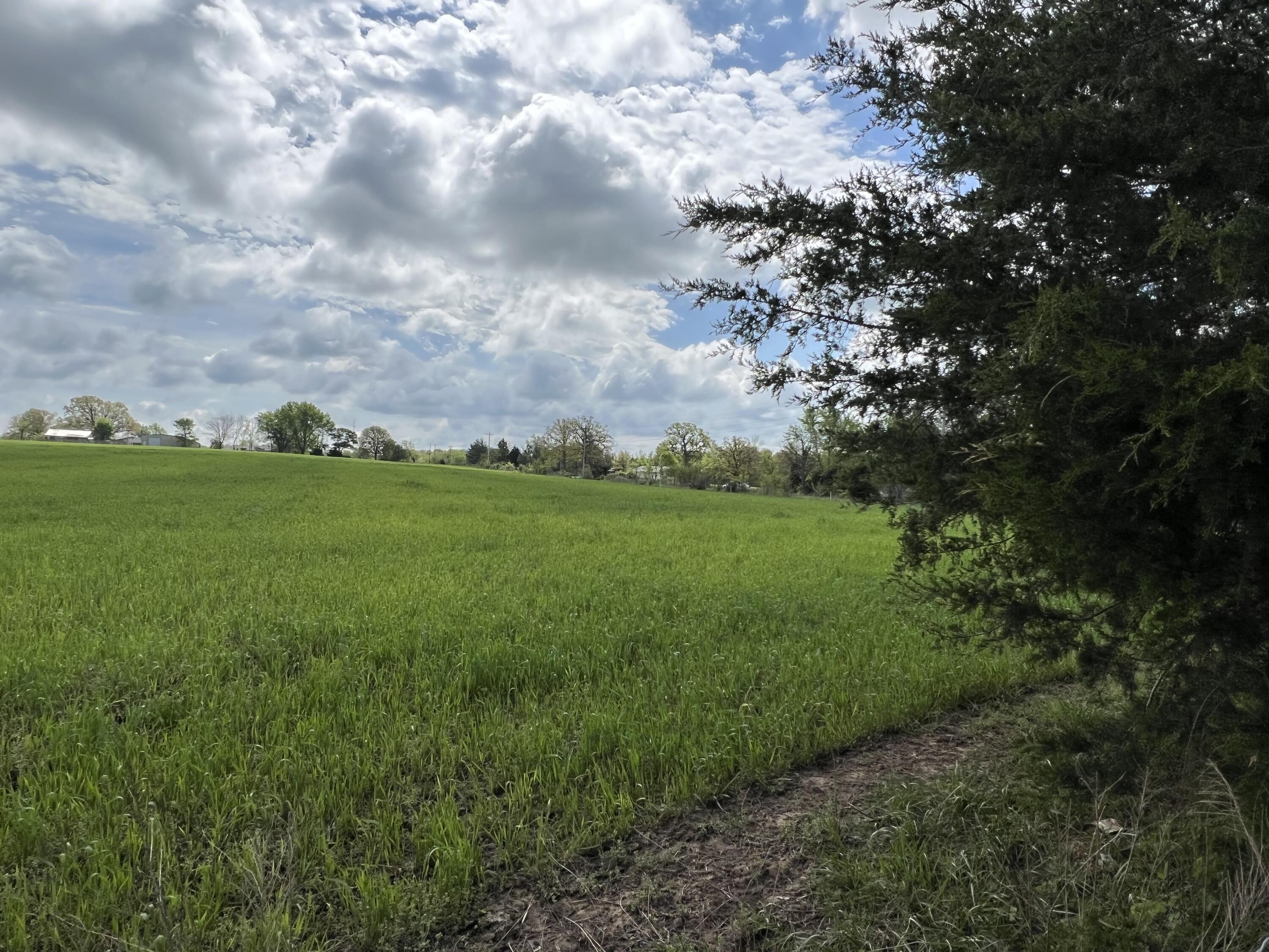 Farm/Ranch/Land for sale – 000 E Highway 32   Stockton, MO