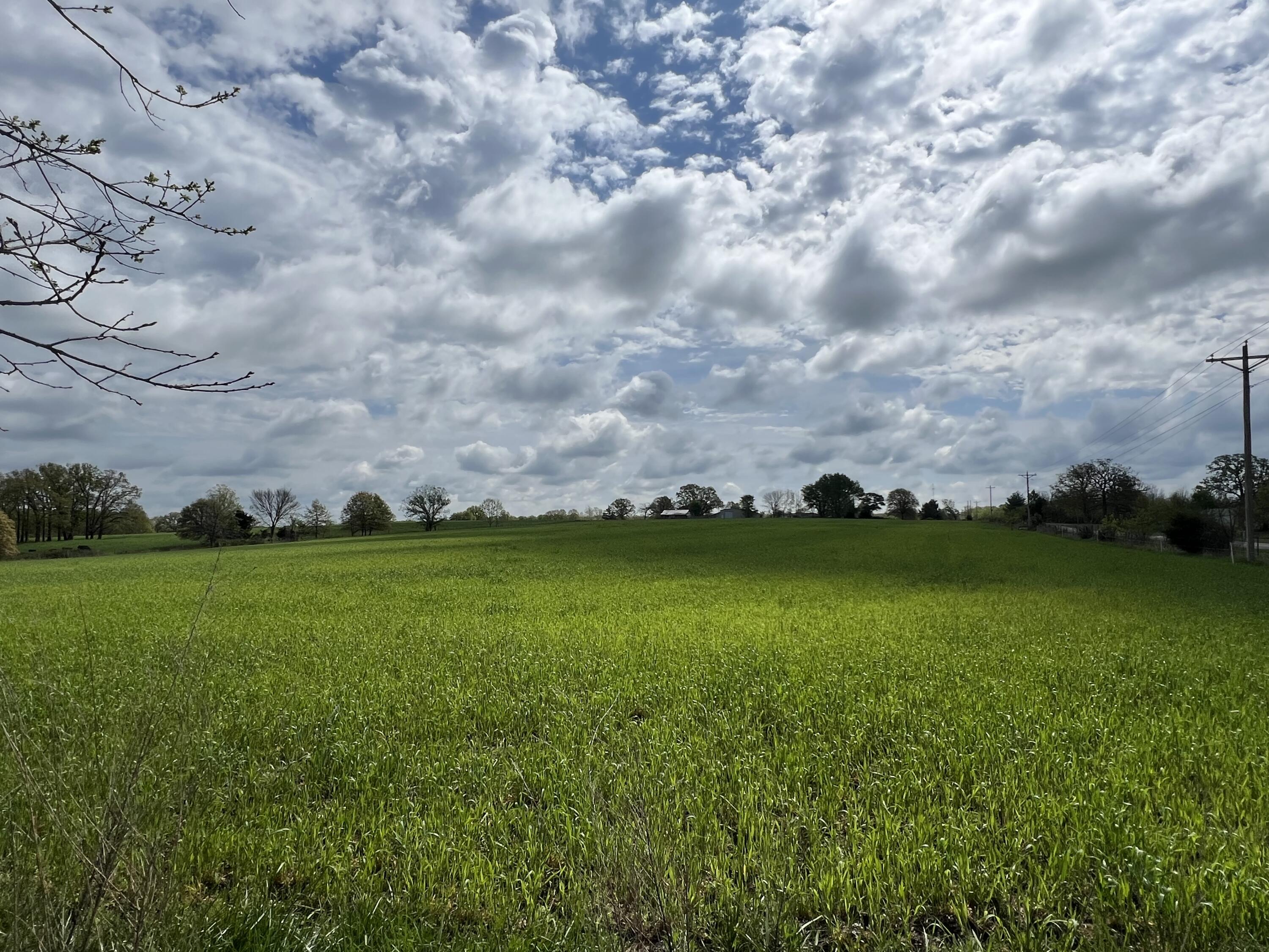 Farm/Ranch/Land for sale – 000 E Highway 32   Stockton, MO