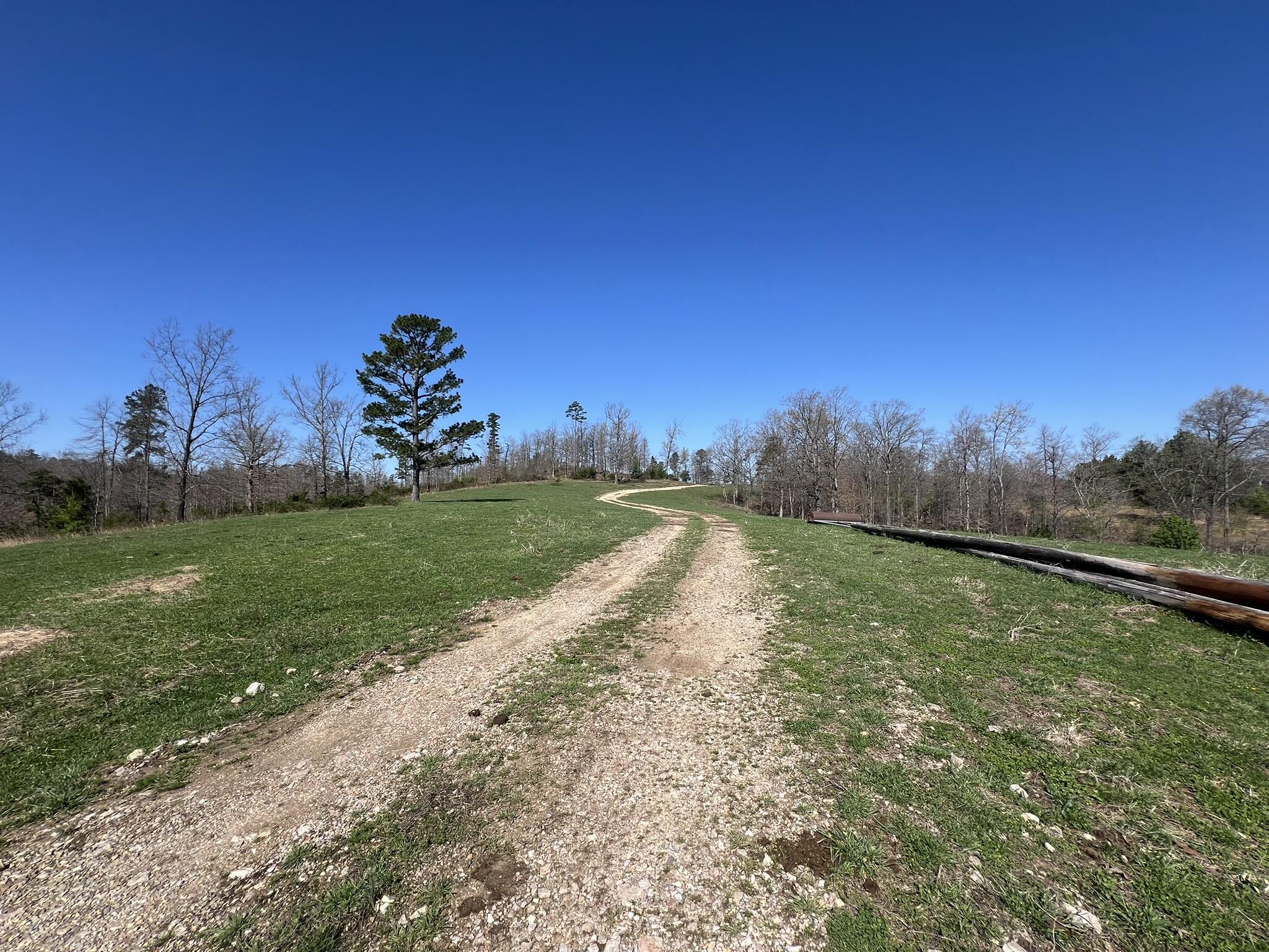 Farm/Ranch/Land for sale – 000  County Road 1130   Willow Springs, MO