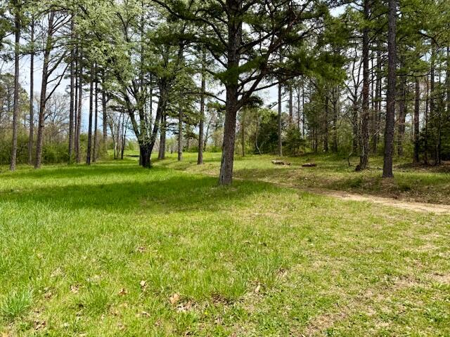 Land for sale – 8584 Mily Street Winona, MO