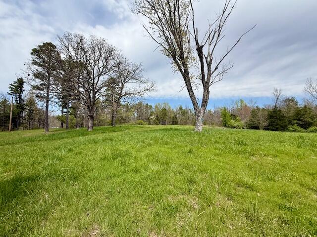 Photo 9 - Land for sale – 8584  Mily Street   Winona, MO