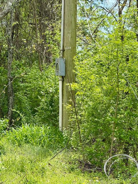 Photo 4 - Land for sale – 8584  Mily Street   Winona, MO