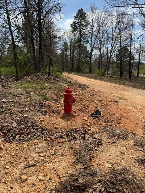 Photo 5 - Land for sale – 8584  Mily Street   Winona, MO