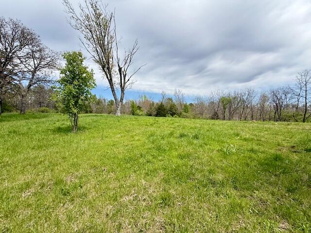 Photo 10 - Land for sale – 8584  Mily Street   Winona, MO