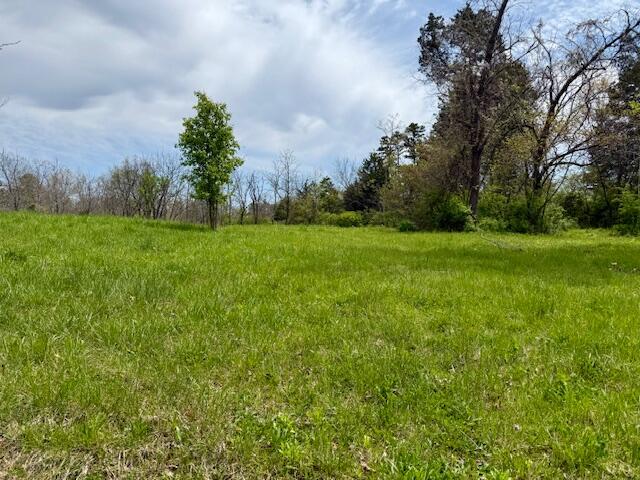 Photo 12 - Land for sale – 8584  Mily Street   Winona, MO
