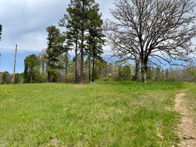 Photo 11 - Land for sale – 8584  Mily Street   Winona, MO