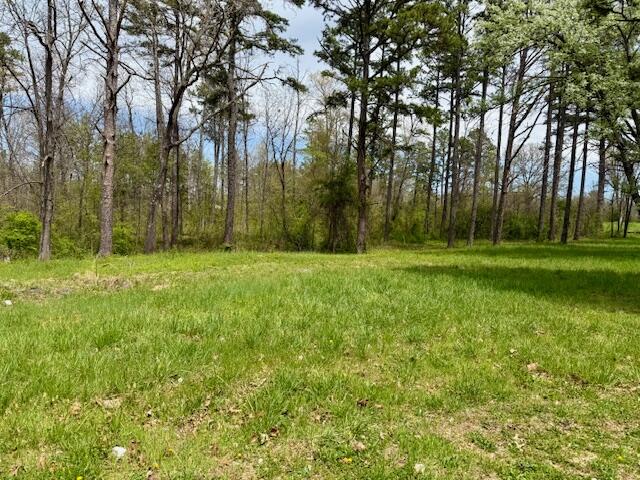 Photo 2 - Land for sale – 8584  Mily Street   Winona, MO