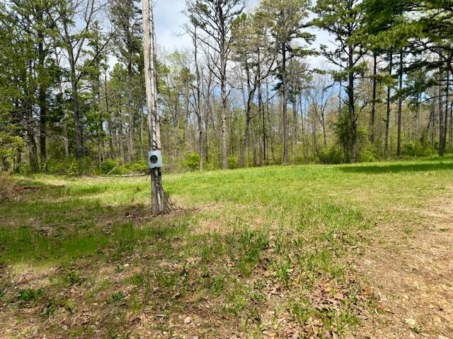 Photo 3 - Land for sale – 8584  Mily Street   Winona, MO