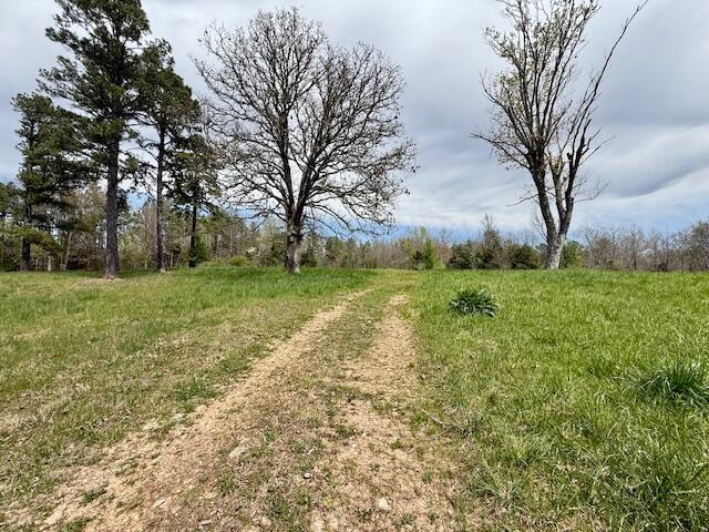 Photo 7 - Land for sale – 8584  Mily Street   Winona, MO