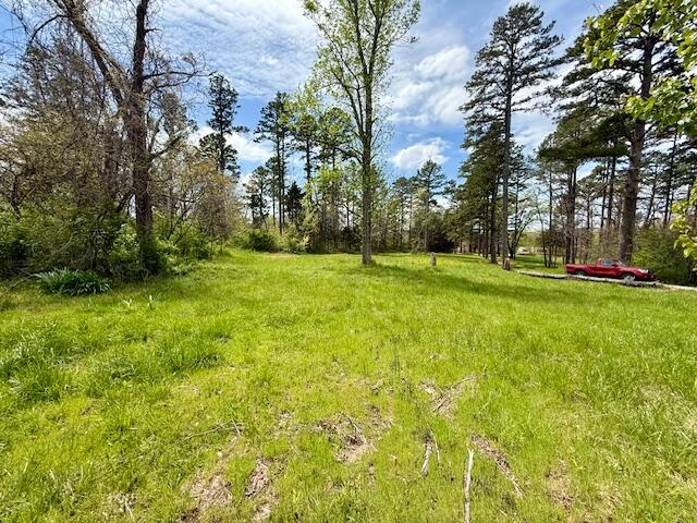 Photo 8 - Land for sale – 8584  Mily Street   Winona, MO