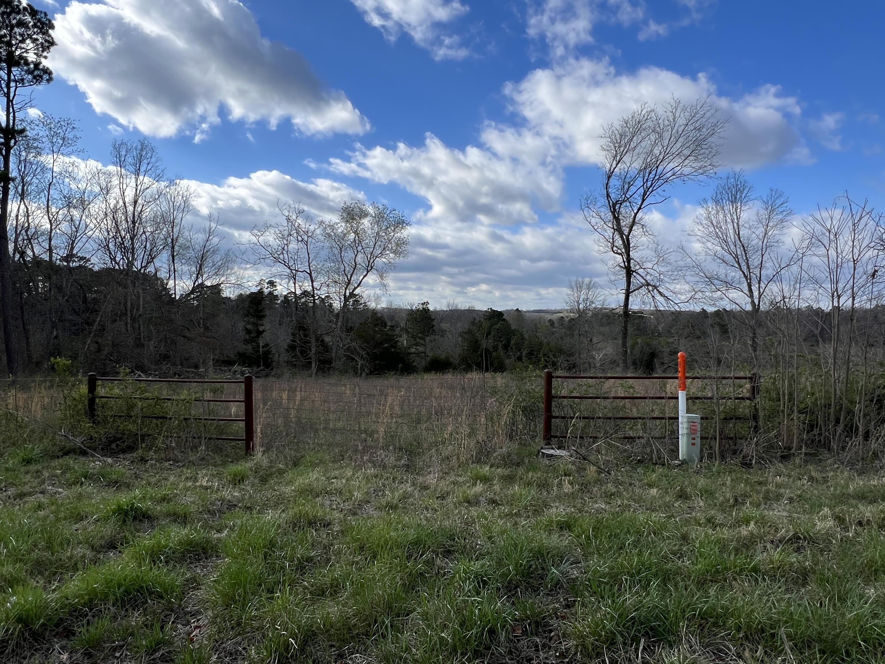 Photo 6 - Land for sale – 000  State Route 76   Cabool, MO