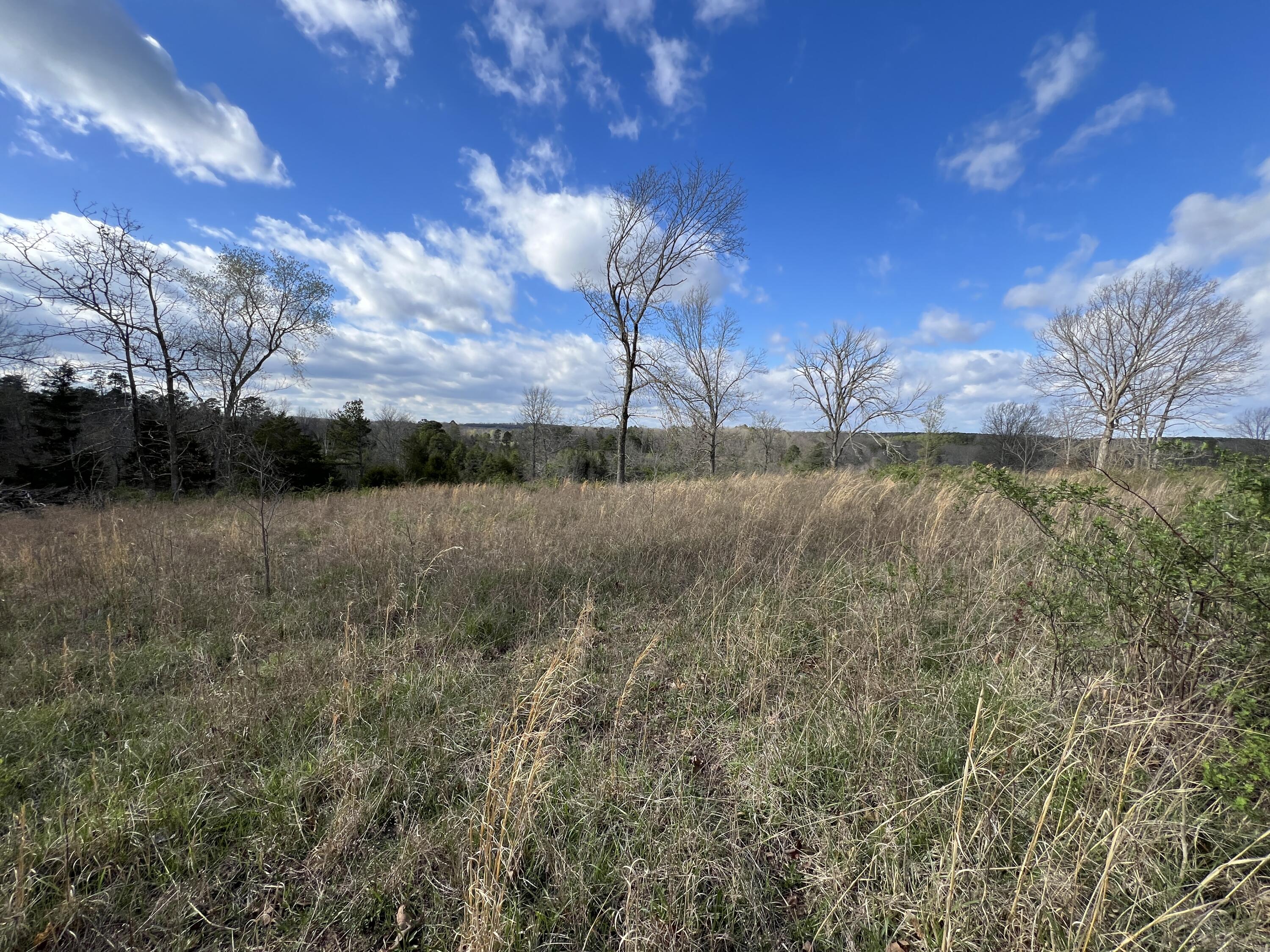 Photo 12 - Land for sale – 000  State Route 76   Cabool, MO