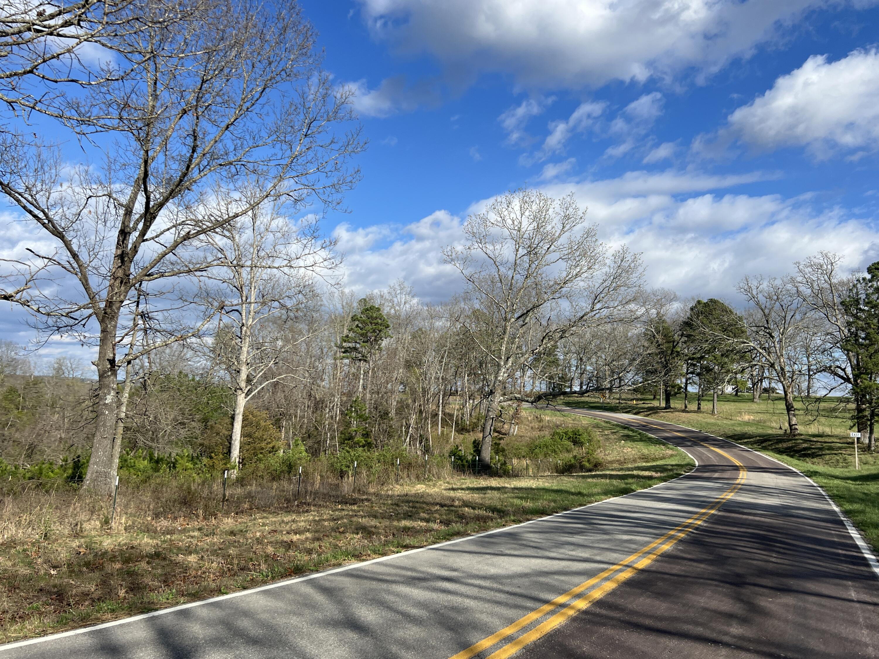 Photo 3 - Land for sale – 000  State Route 76   Cabool, MO