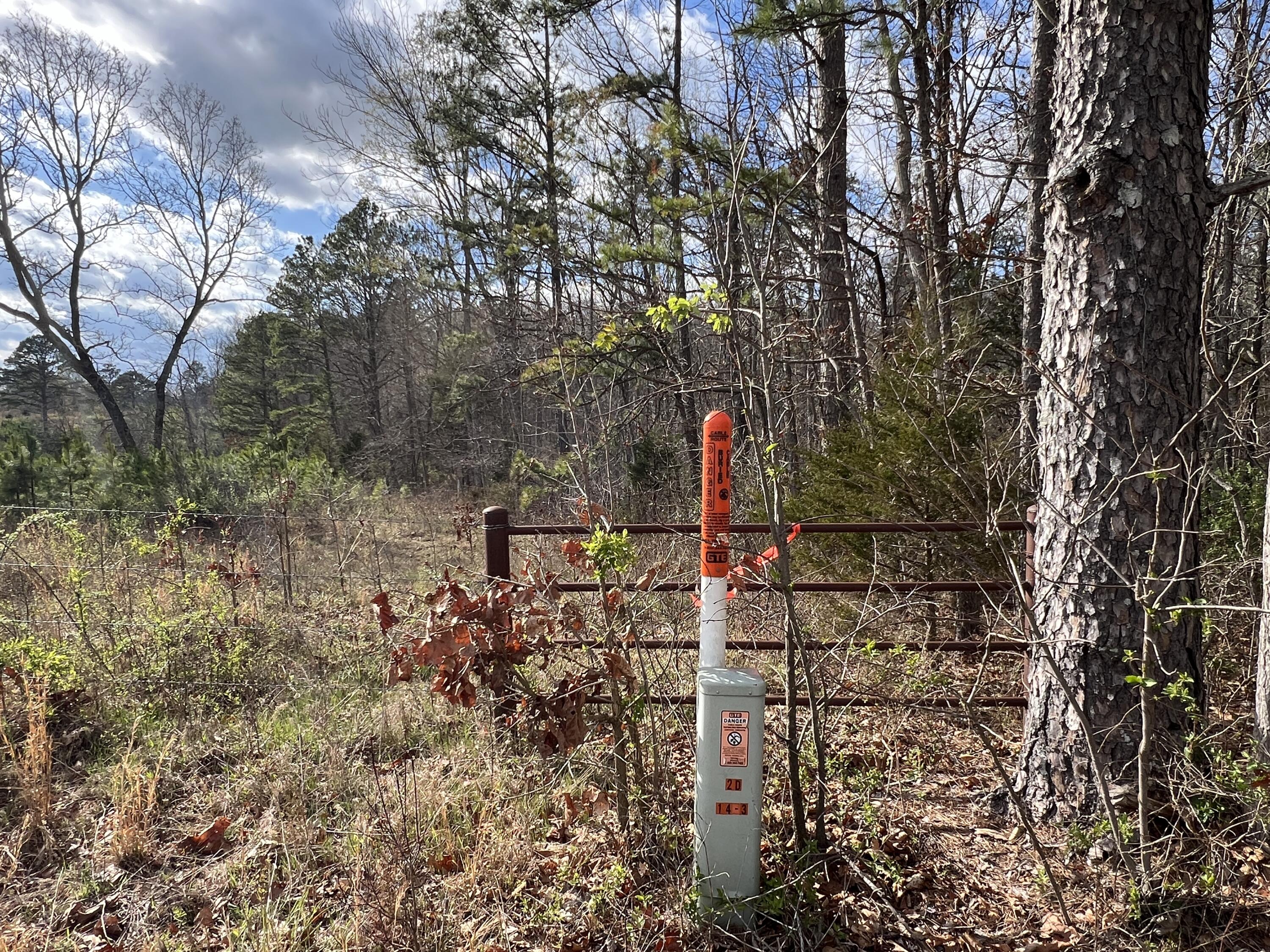 Photo 10 - Land for sale – 000  State Route 76   Cabool, MO