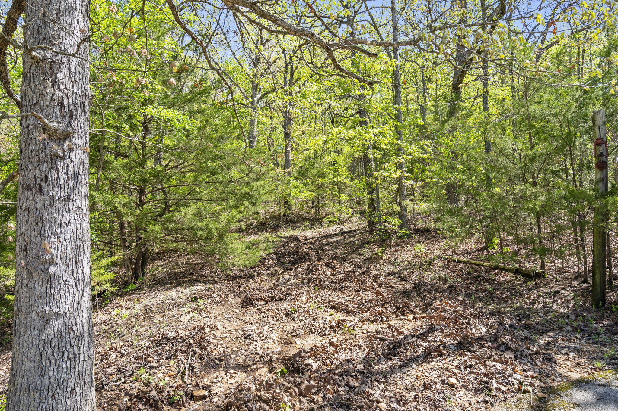 Photo 27 - Commercial Sale for sale – 146  Old Shepherd   Branson, MO