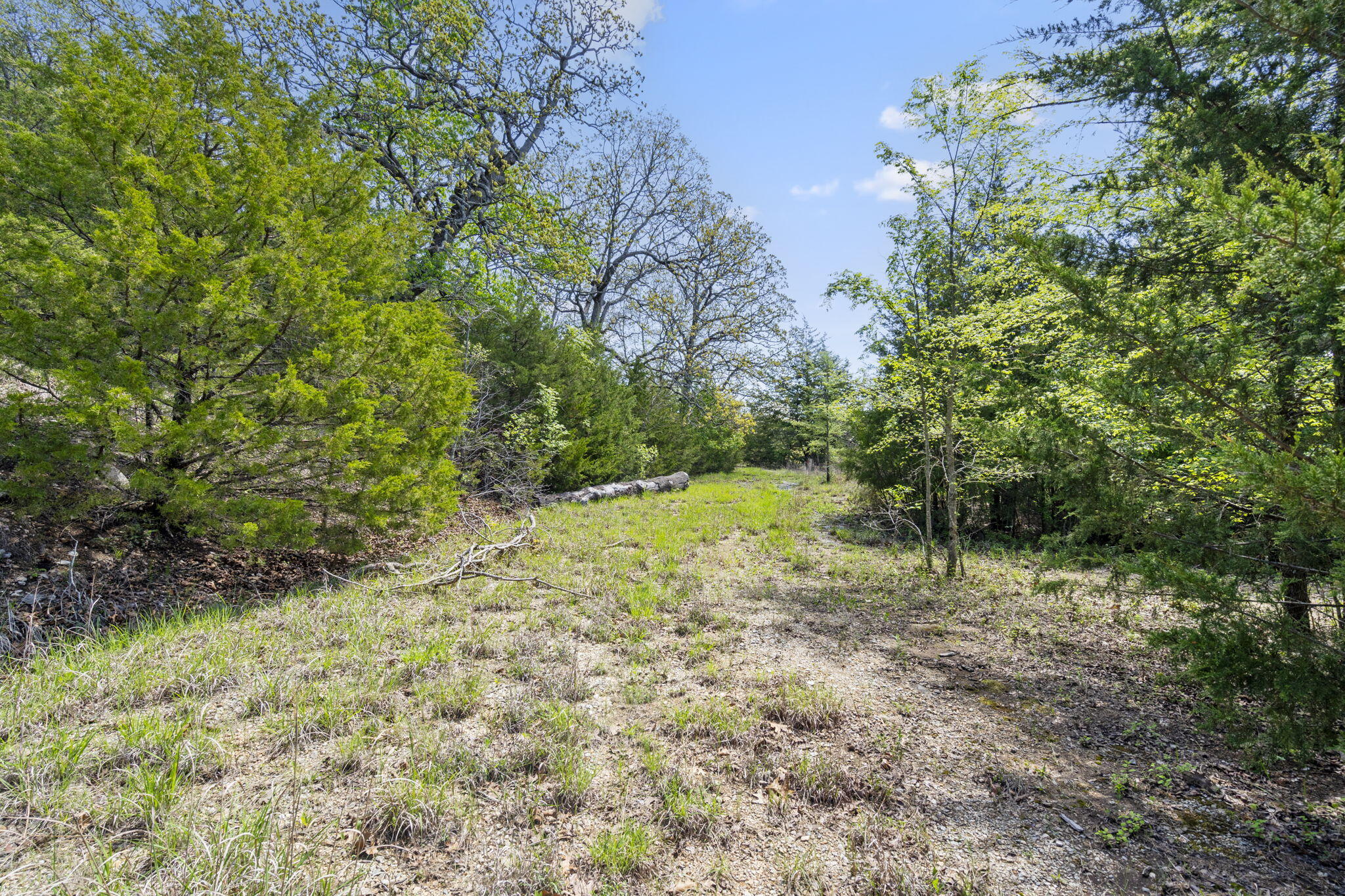 Photo 31 - Commercial Sale for sale – 146  Old Shepherd   Branson, MO