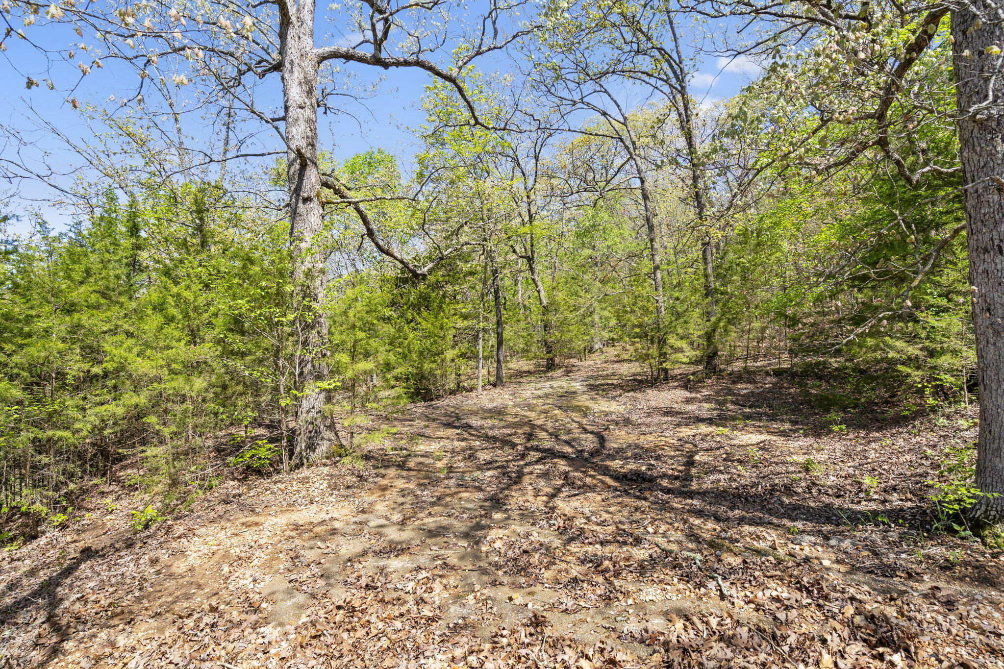 Photo 28 - Commercial Sale for sale – 146  Old Shepherd   Branson, MO