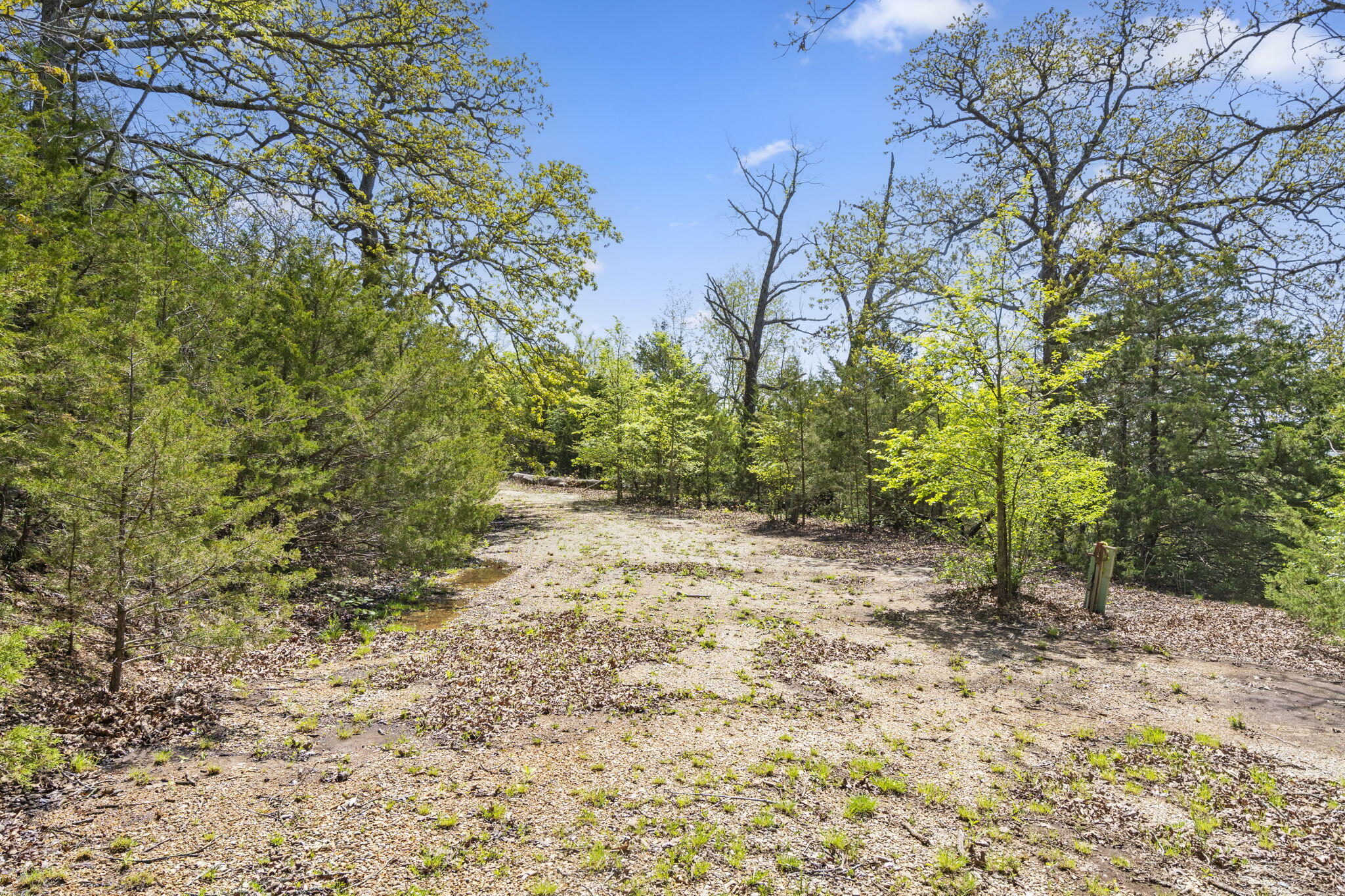 Photo 29 - Commercial Sale for sale – 146  Old Shepherd   Branson, MO