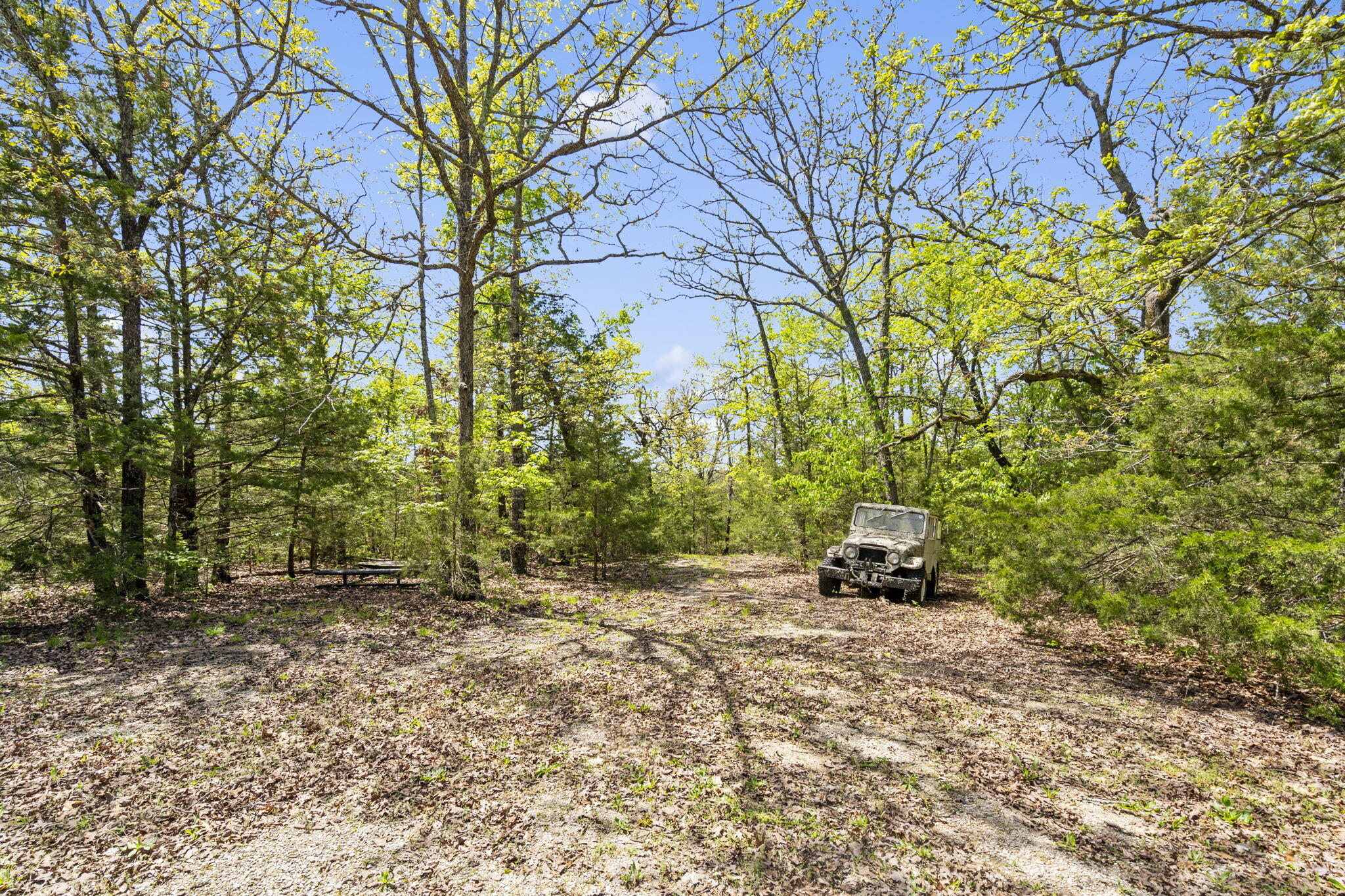 Photo 32 - Commercial Sale for sale – 146  Old Shepherd   Branson, MO